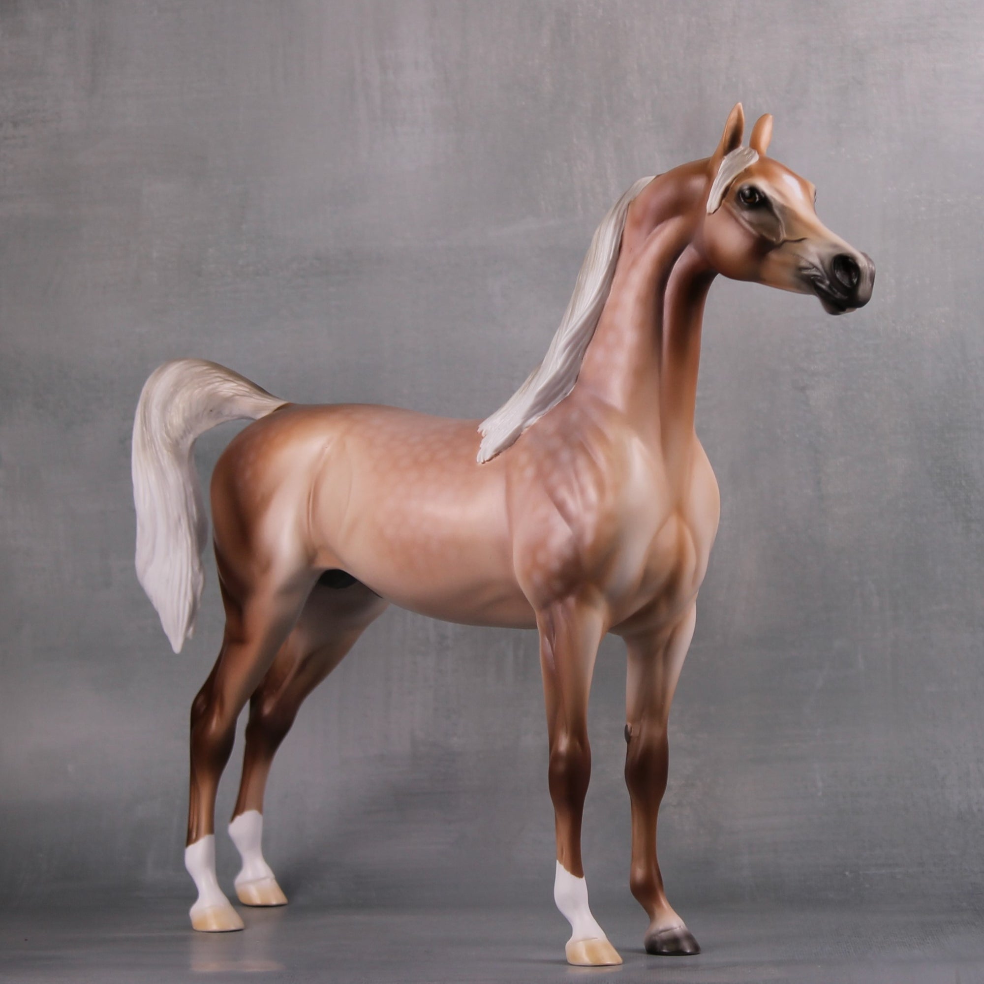 Spooky LE 10 Custom Dappled Mulberry Grey Arabian By Ashley Palmer MM24 Run