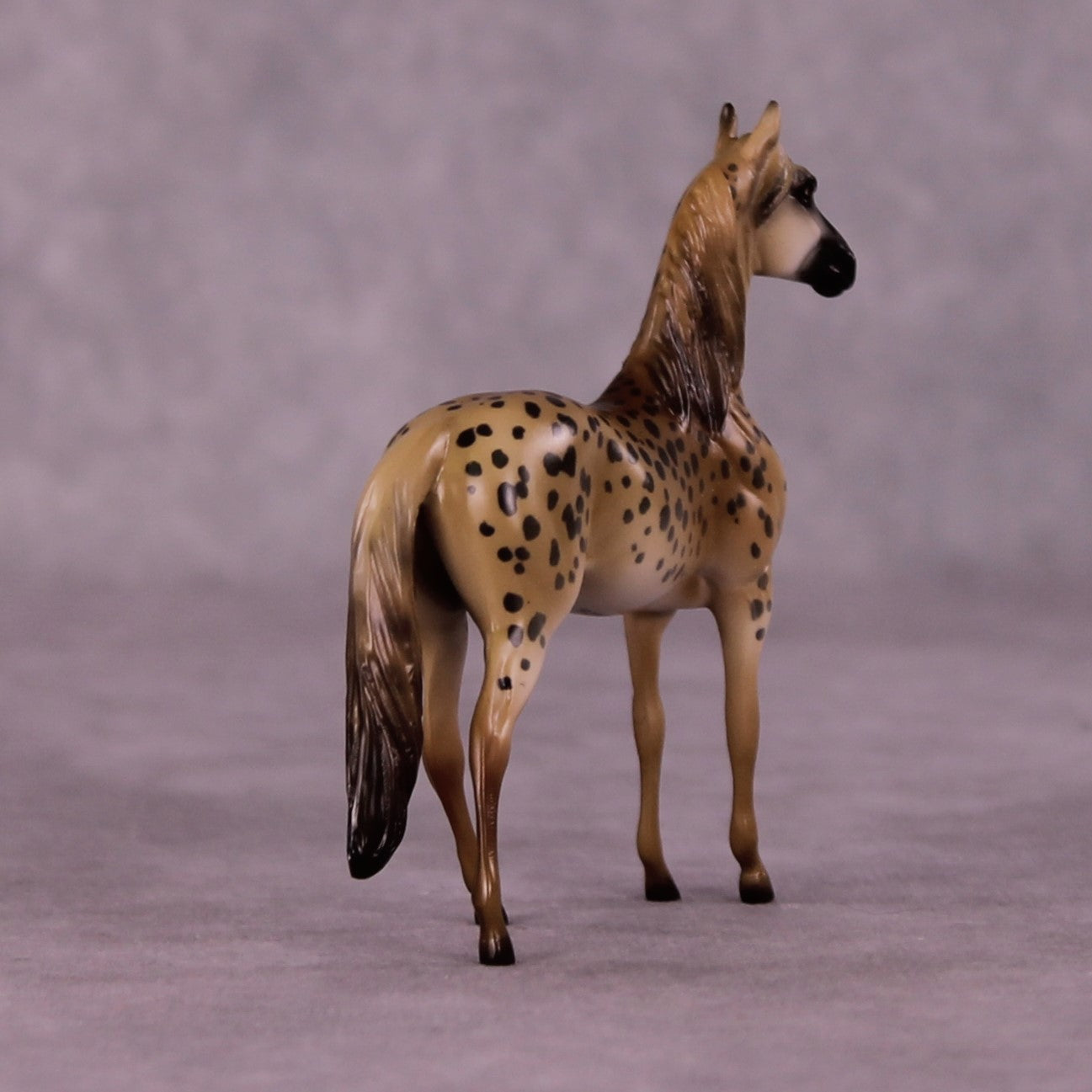 Masai Mara LE-3 Morgan Chip by Jess Hamill MS25