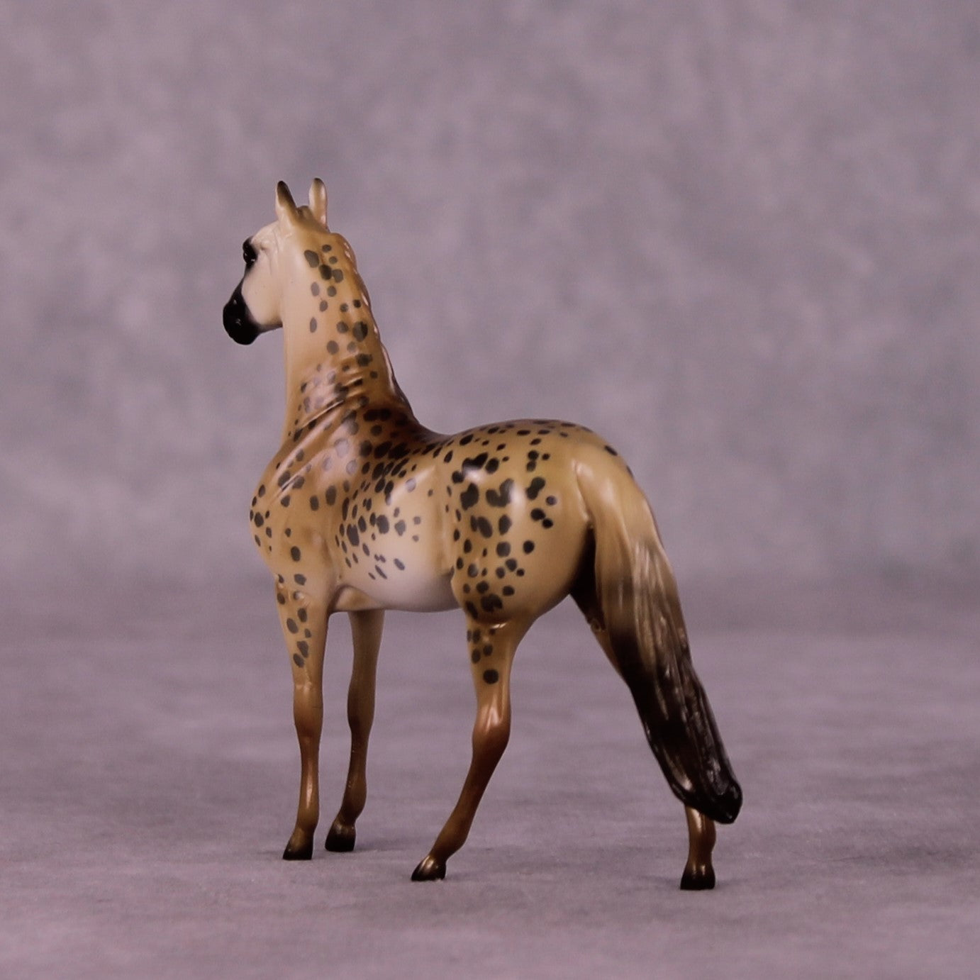 Masai Mara LE-3 Morgan Chip by Jess Hamill MS25