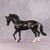 &quot;Night Moves&quot; FCM Thoroughbred By Missy Shaw