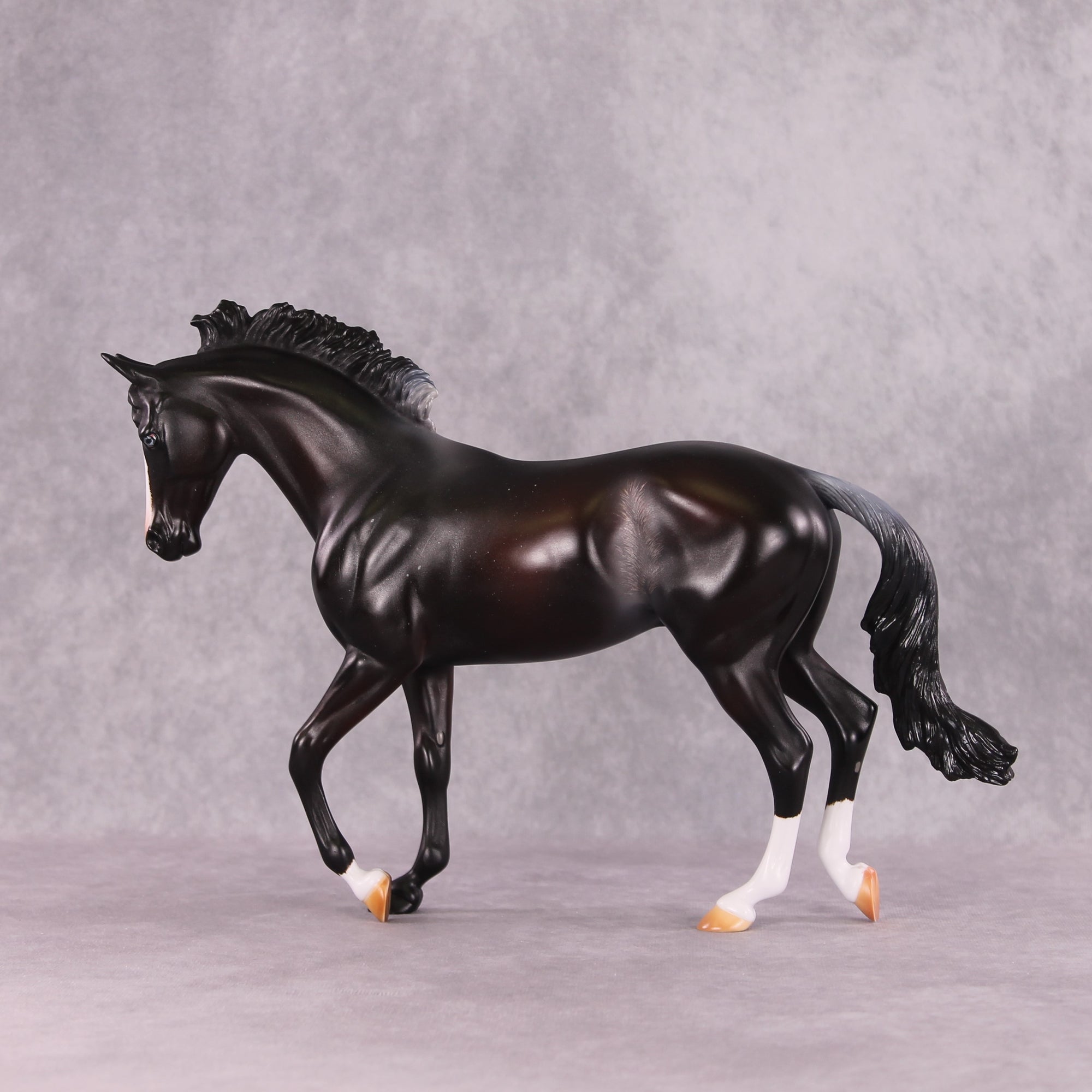 "Night Moves" FCM Thoroughbred By Missy Shaw