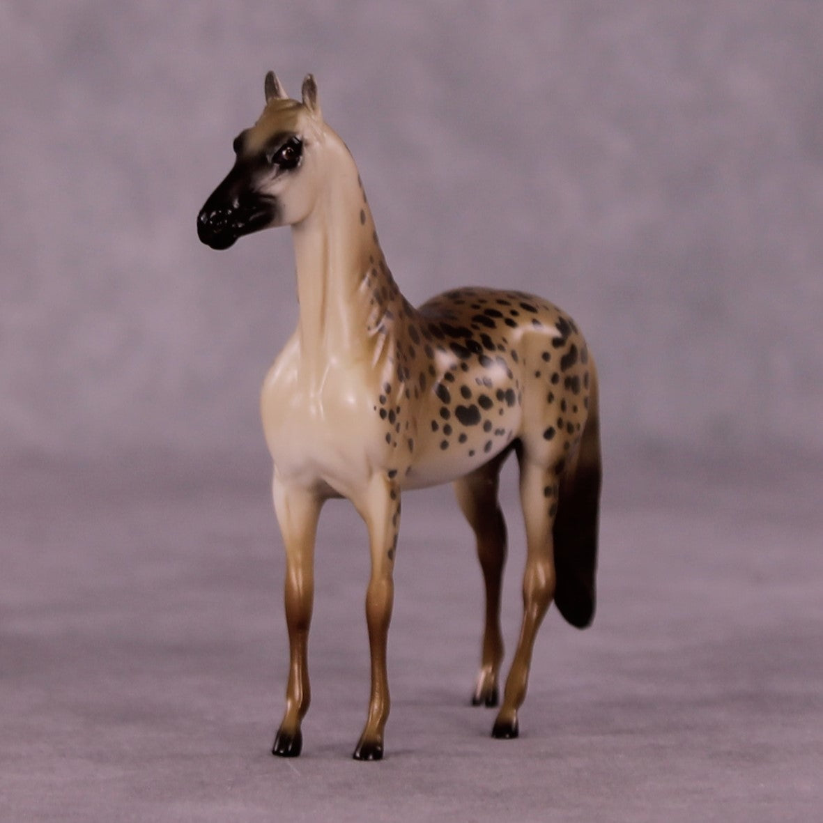 Masai Mara LE-3 Morgan Chip by Jess Hamill MS25