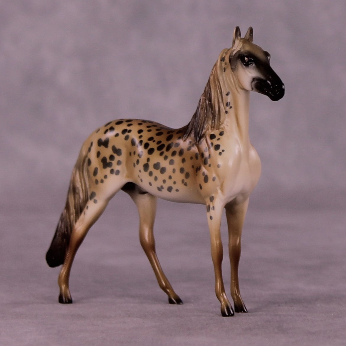 Masai Mara LE-3 Morgan Chip by Jess Hamill MS25