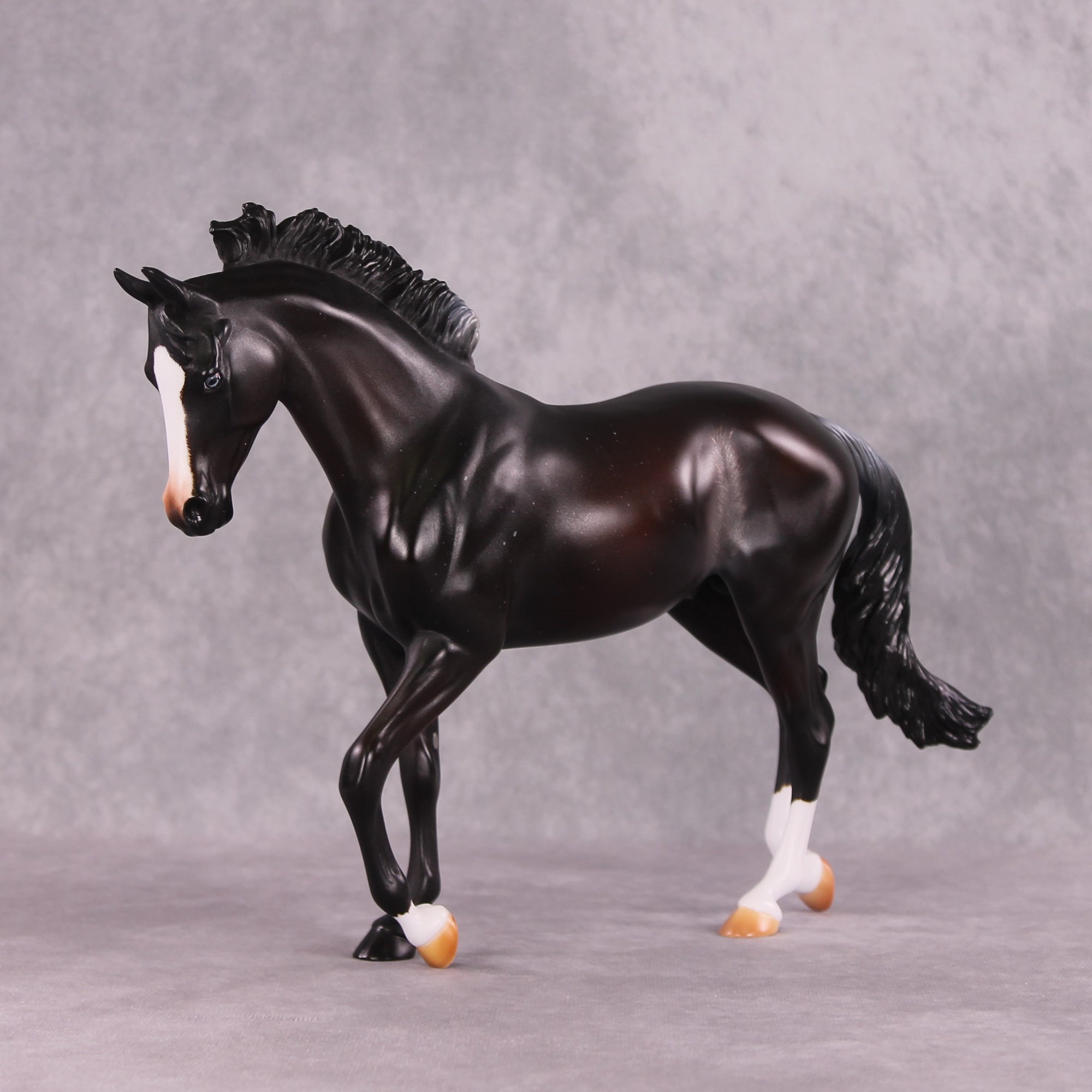 "Night Moves" FCM Thoroughbred By Missy Shaw