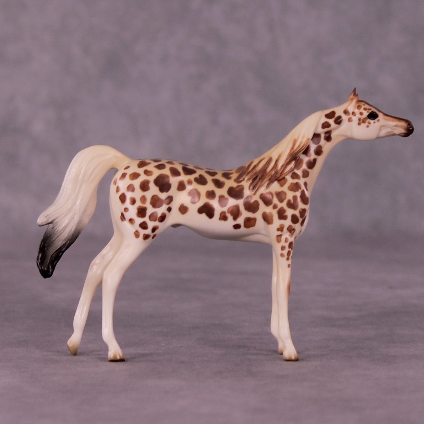 Gashaka-Gumti LE-3 Arabian Chip by Jess Hamill MS25