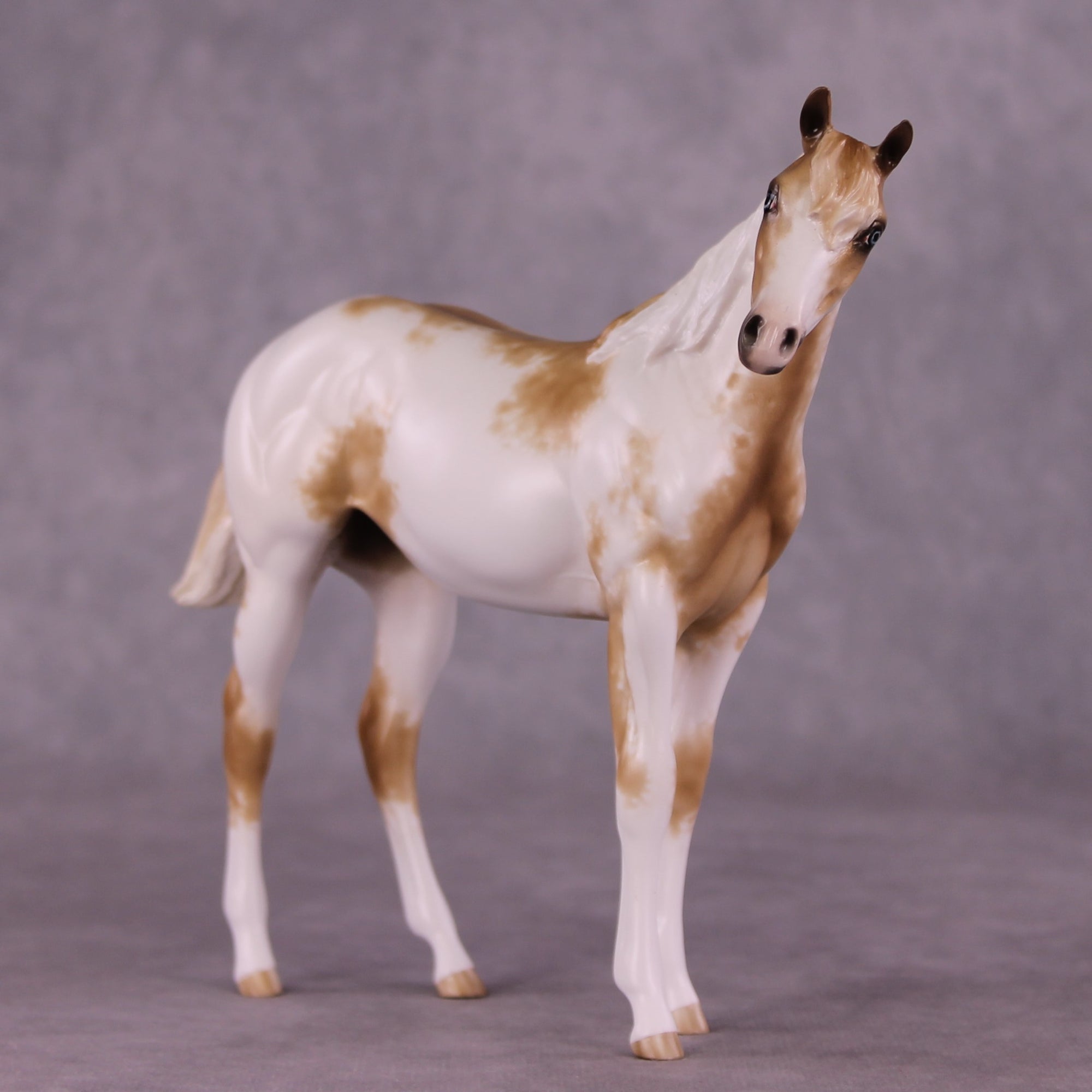 "Esmeralda" OOAK FCM Weanling by Sheryl Leisure Best Offer 07/01/25