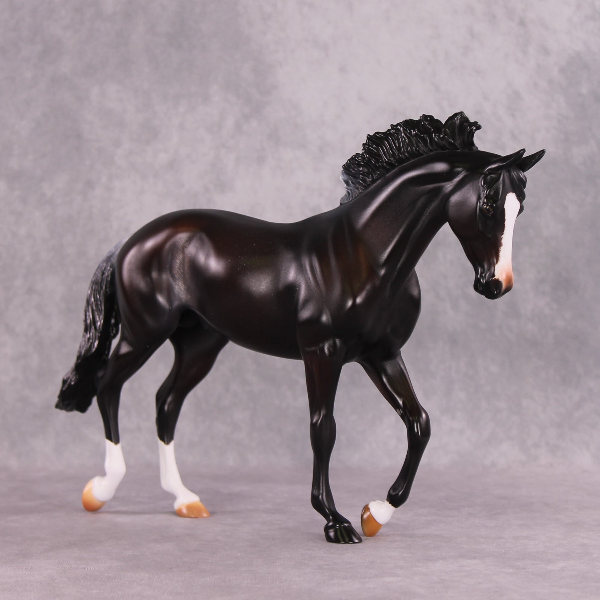 "Night Moves" FCM Thoroughbred By Missy Shaw