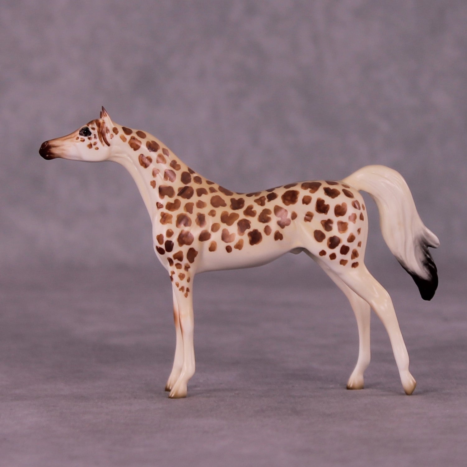 Gashaka-Gumti LE-3 Arabian Chip by Jess Hamill MS25