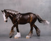 PREVIEW LISTING ONLY Professor LE 5 Custom Dappled Chocolate Palomino Irish Cob By Ashley Palmer MM24