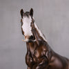 PREVIEW LISTING ONLY Professor LE 5 Custom Dappled Chocolate Palomino Irish Cob By Ashley Palmer MM24