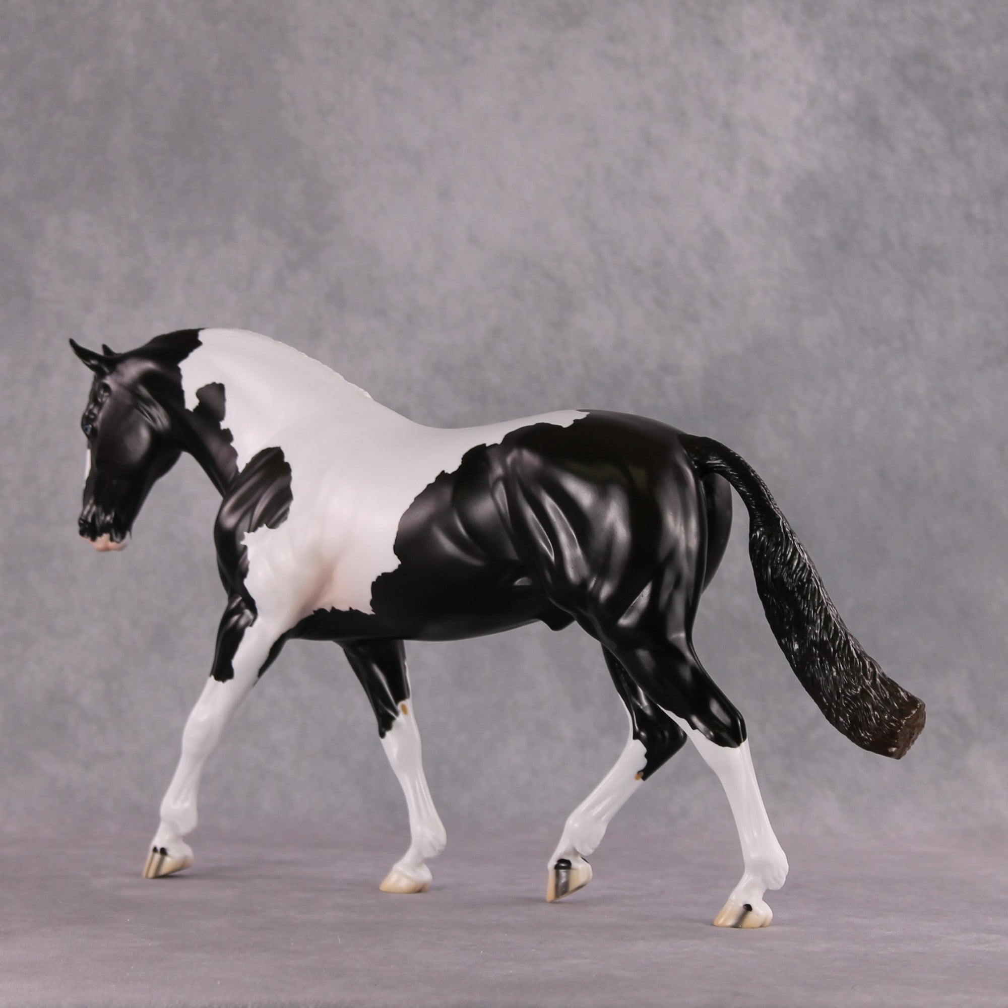 Stone Horses SAMPLE "Baroque" 23/24 Loyalty Club Sample Irish Draught by Jess Hamill