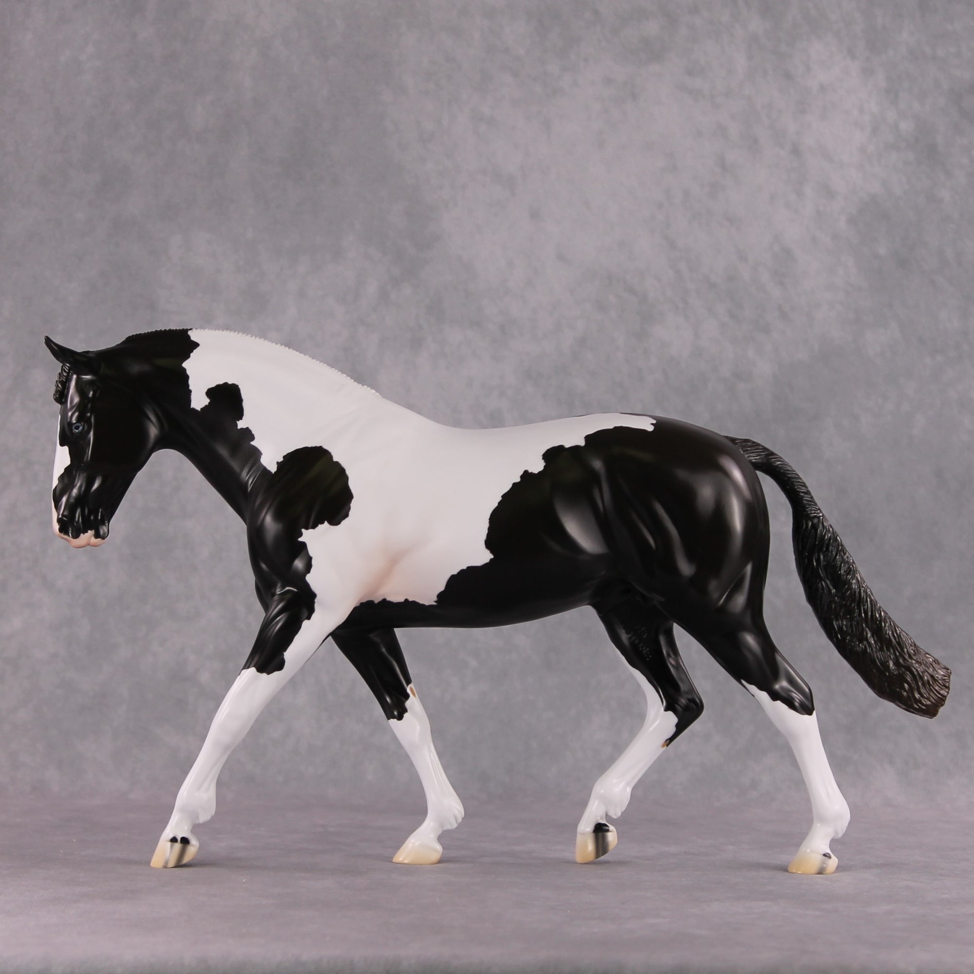 Stone Horses SAMPLE "Baroque" 23/24 Loyalty Club Sample Irish Draught by Jess Hamill