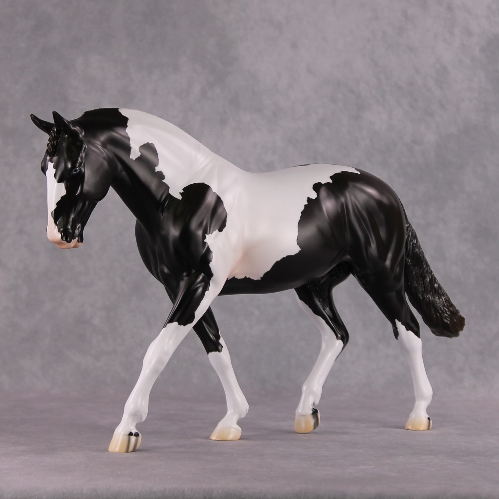 Stone Horses SAMPLE "Baroque" 23/24 Loyalty Club Sample Irish Draught by Jess Hamill