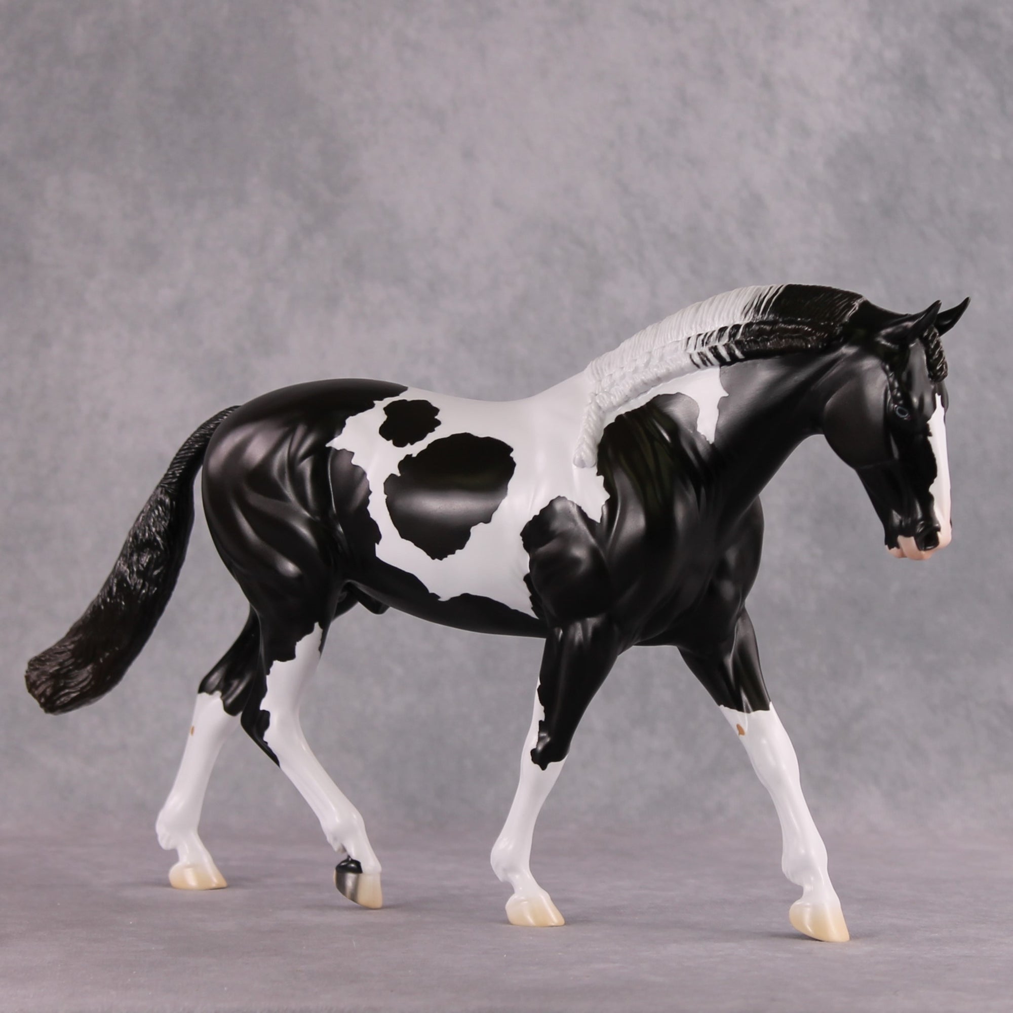 Stone Horses SAMPLE "Baroque" 23/24 Loyalty Club Sample Irish Draught by Jess Hamill