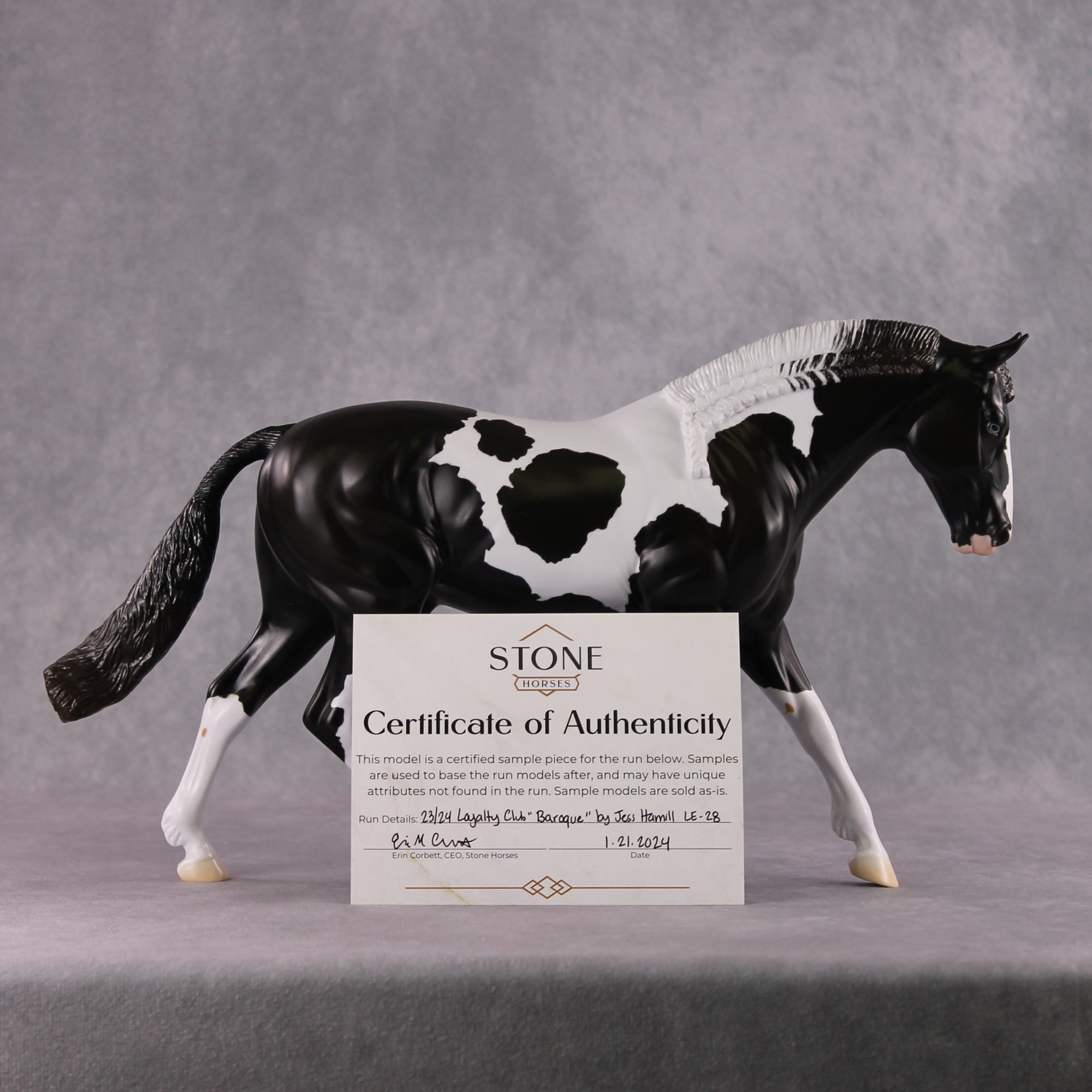 Stone Horses SAMPLE "Baroque" 23/24 Loyalty Club Sample Irish Draught by Jess Hamill