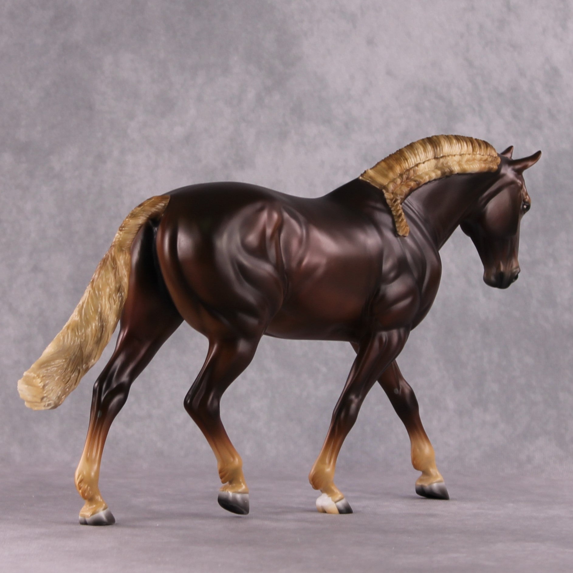 Stone Horses SAMPLE "Montavious" 23/24 Loyalty Club Sample Irish Draught by Ashley Palmer