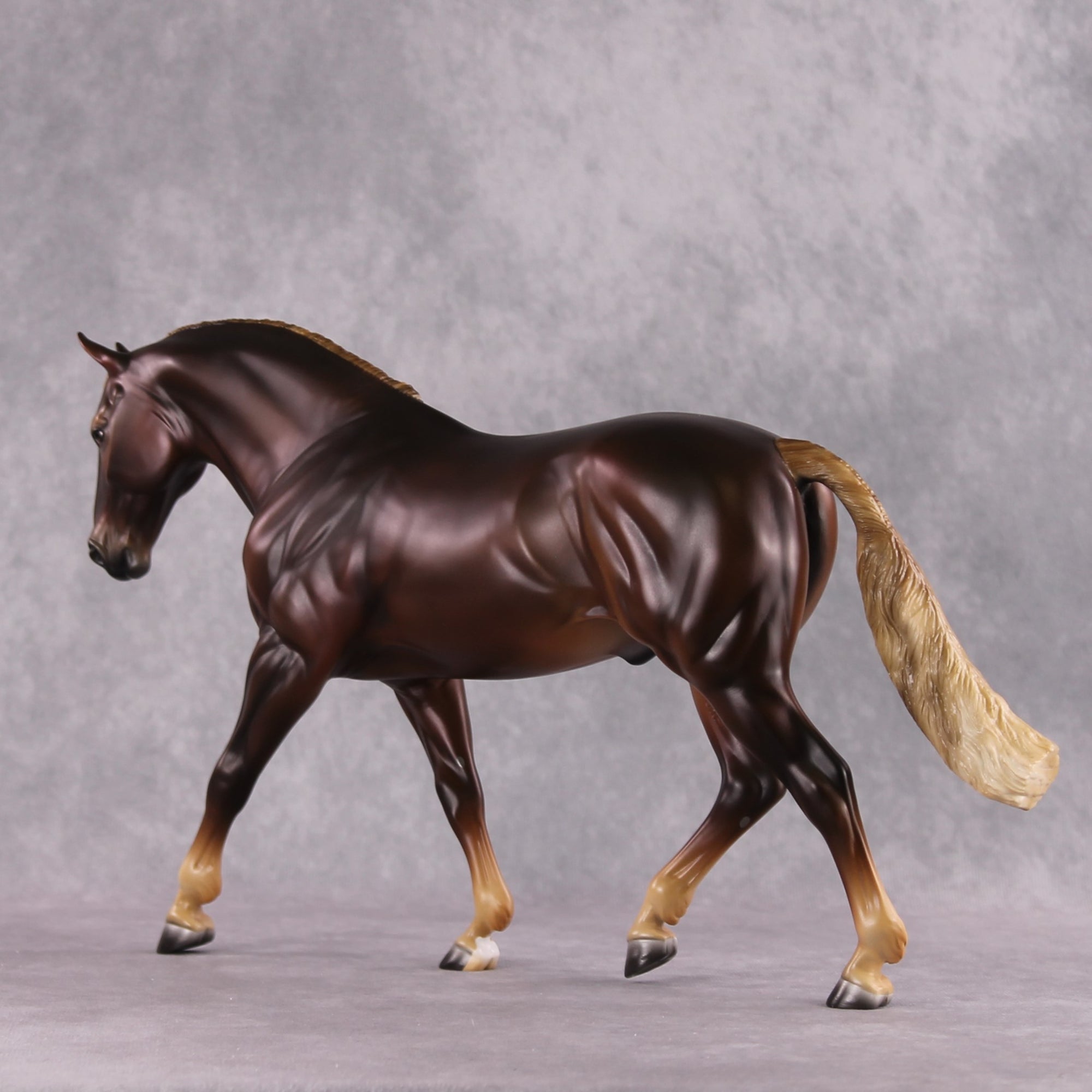 Stone Horses SAMPLE "Montavious" 23/24 Loyalty Club Sample Irish Draught by Ashley Palmer