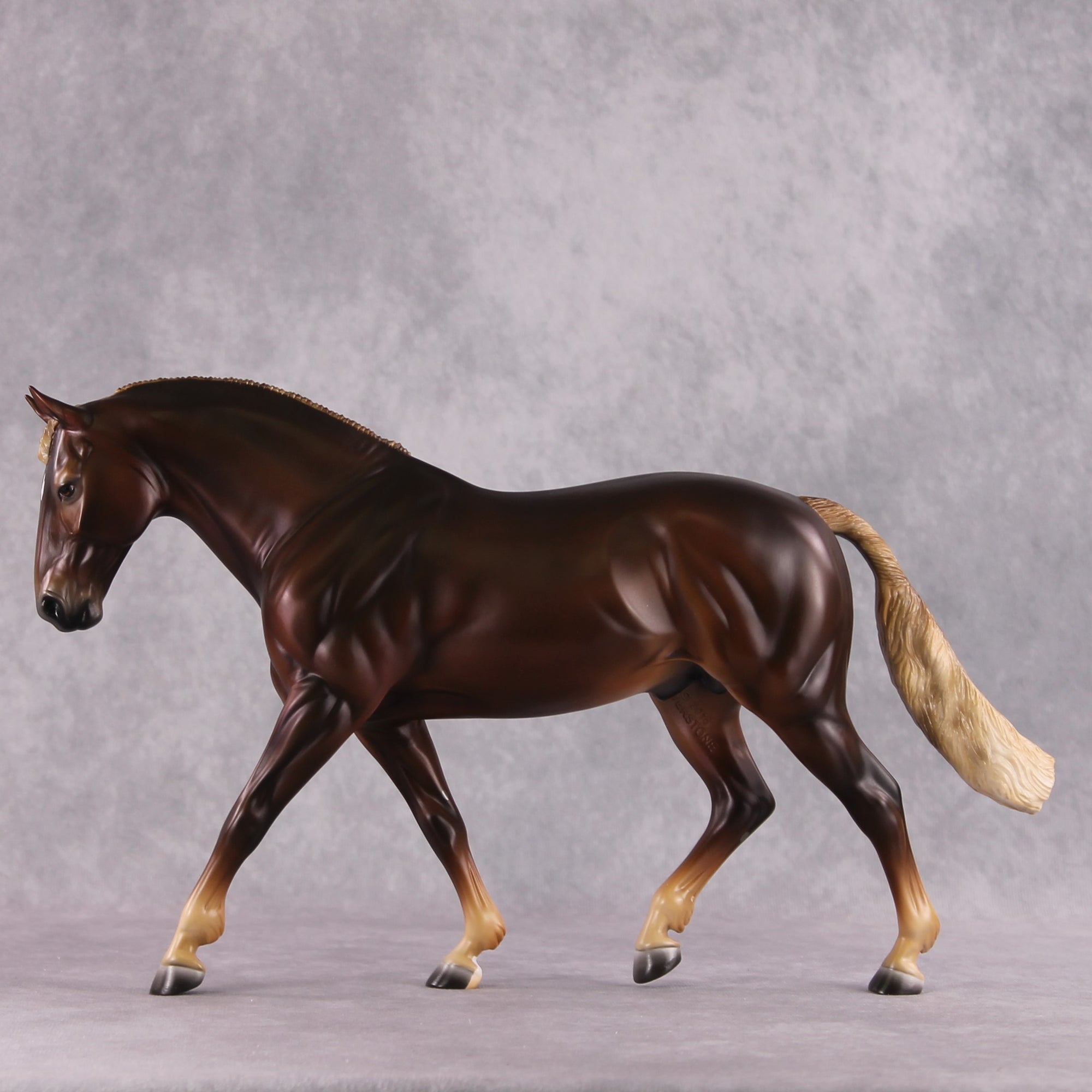 Stone Horses SAMPLE "Montavious" 23/24 Loyalty Club Sample Irish Draught by Ashley Palmer