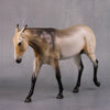 PREVIEW LISTING ONLY Meade LE 5 Customized Sooty Buckskin Pebble Mule By Ellen Robbins MM24 Run