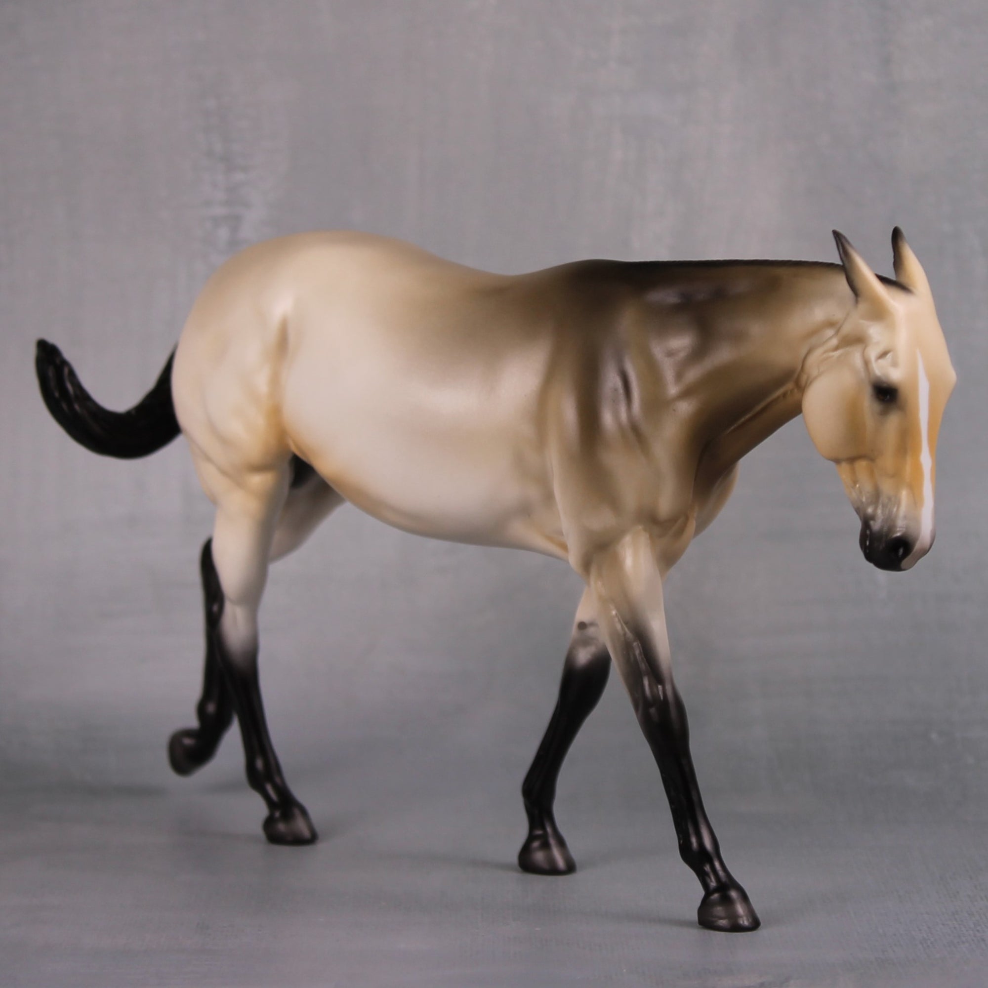 Meade LE 5 Customized Sooty Buckskin Pebble Mule By Ellen Robbins MM24 Run