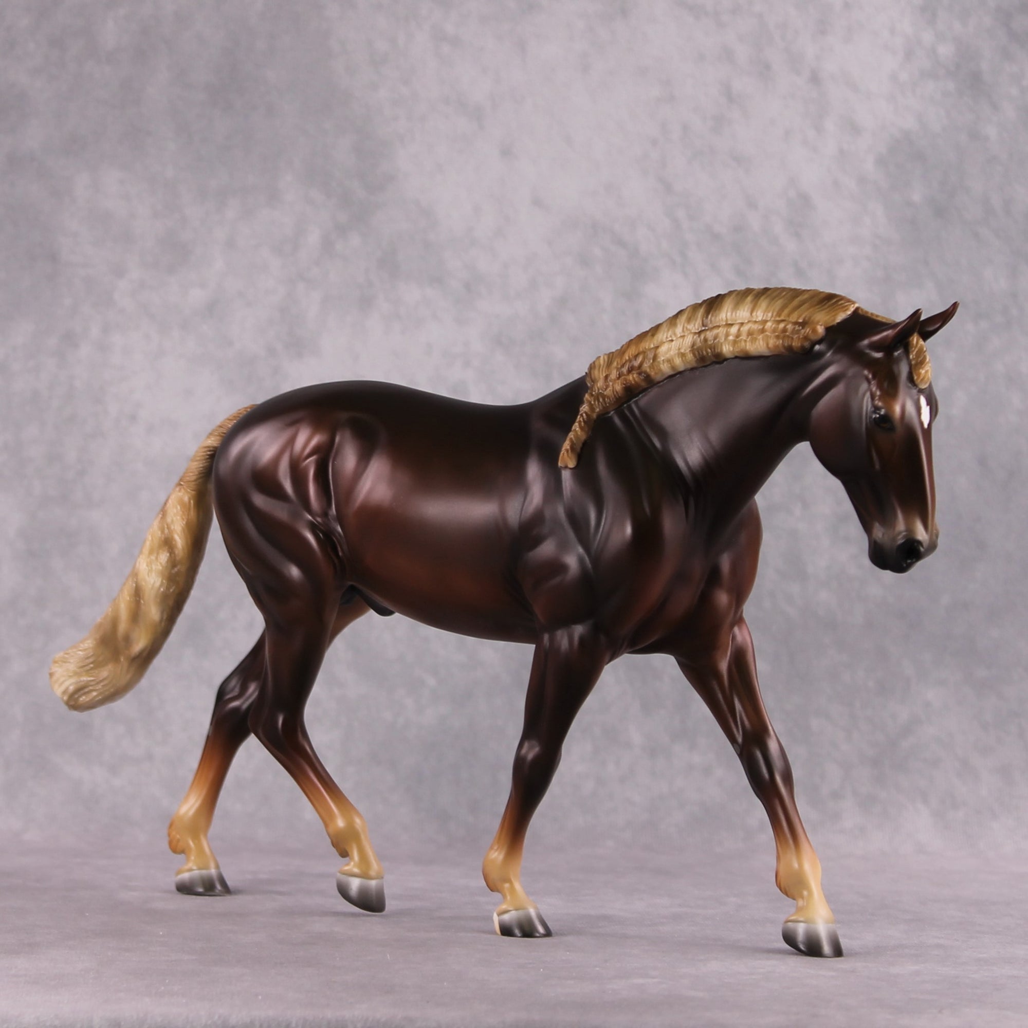 Stone Horses SAMPLE "Montavious" 23/24 Loyalty Club Sample Irish Draught by Ashley Palmer