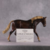 Stone Horses SAMPLE &quot;Montavious&quot; 23/24 Loyalty Club Sample Irish Draught by Ashley Palmer