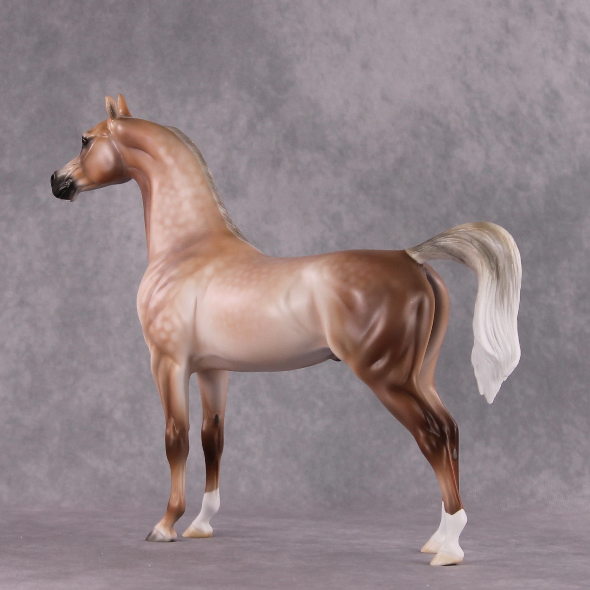 Stone Horses SAMPLE "Spooky" Moonlight Madness 2024 Arabian Stallion by Ashley Palmer