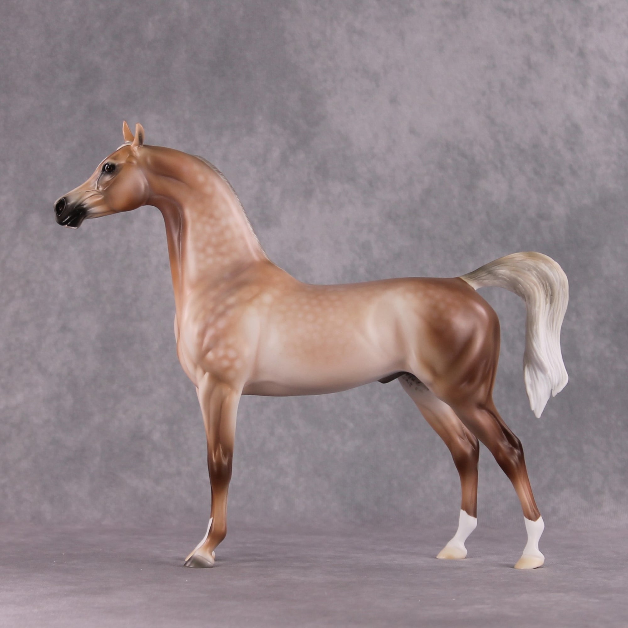 Stone Horses SAMPLE "Spooky" Moonlight Madness 2024 Arabian Stallion by Ashley Palmer