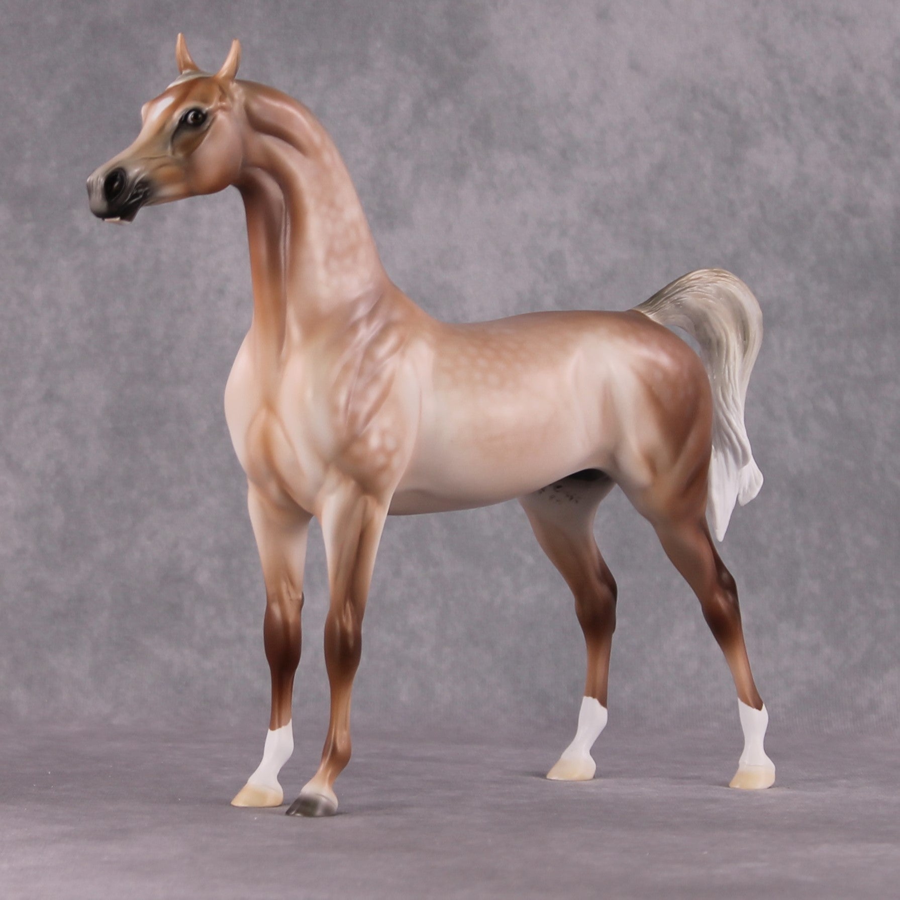 Stone Horses SAMPLE "Spooky" Moonlight Madness 2024 Arabian Stallion by Ashley Palmer