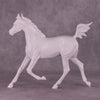 Design-A-Horse Stone Arabian Yearling Filly PM037 - August release 2025