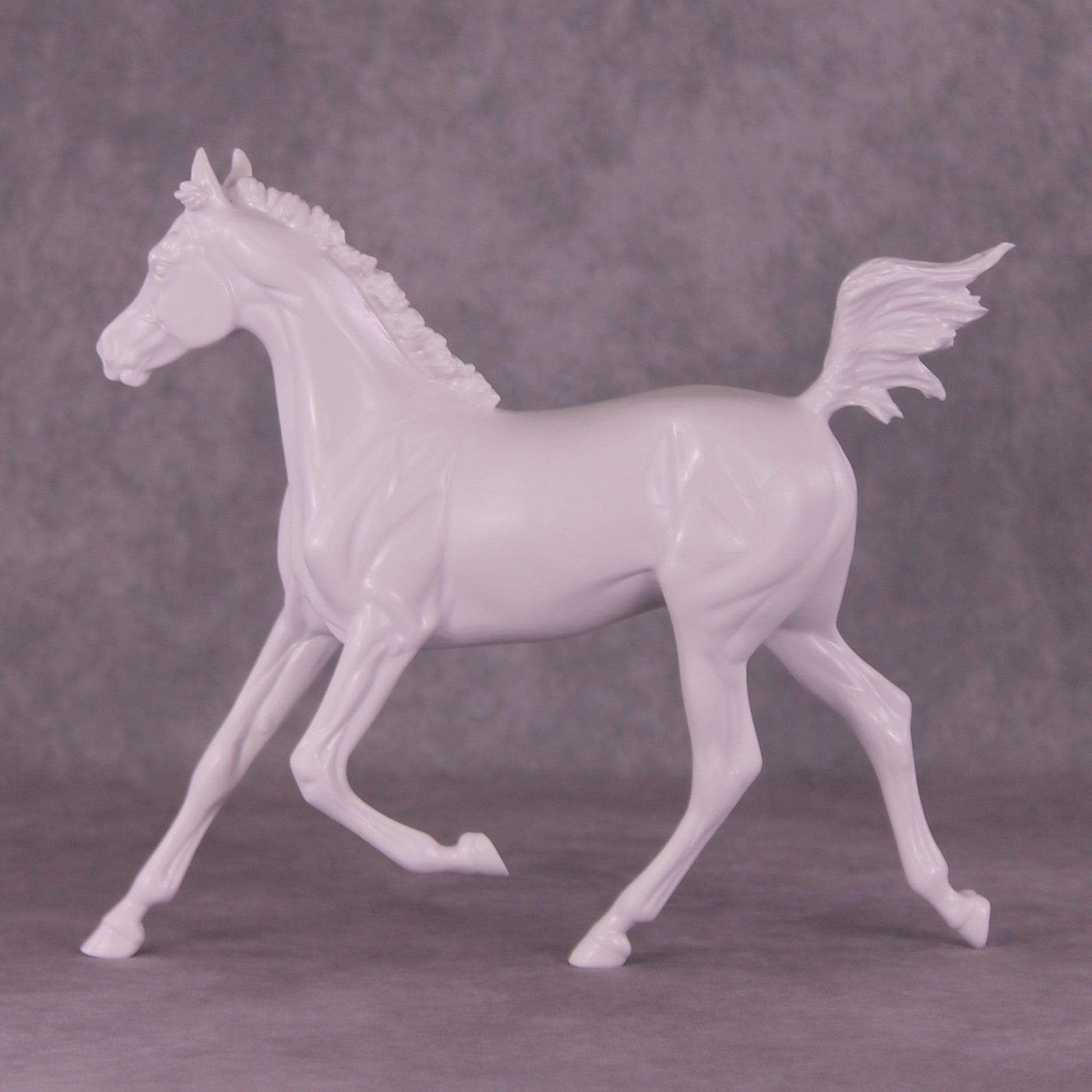 Design-A-Horse FCM Arabian Yearling August Release DAH25 PM037