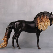 Balefire LE 5 Custom Shaded Liver Chestnut Andalusian By Jess Hamill MM24 Run