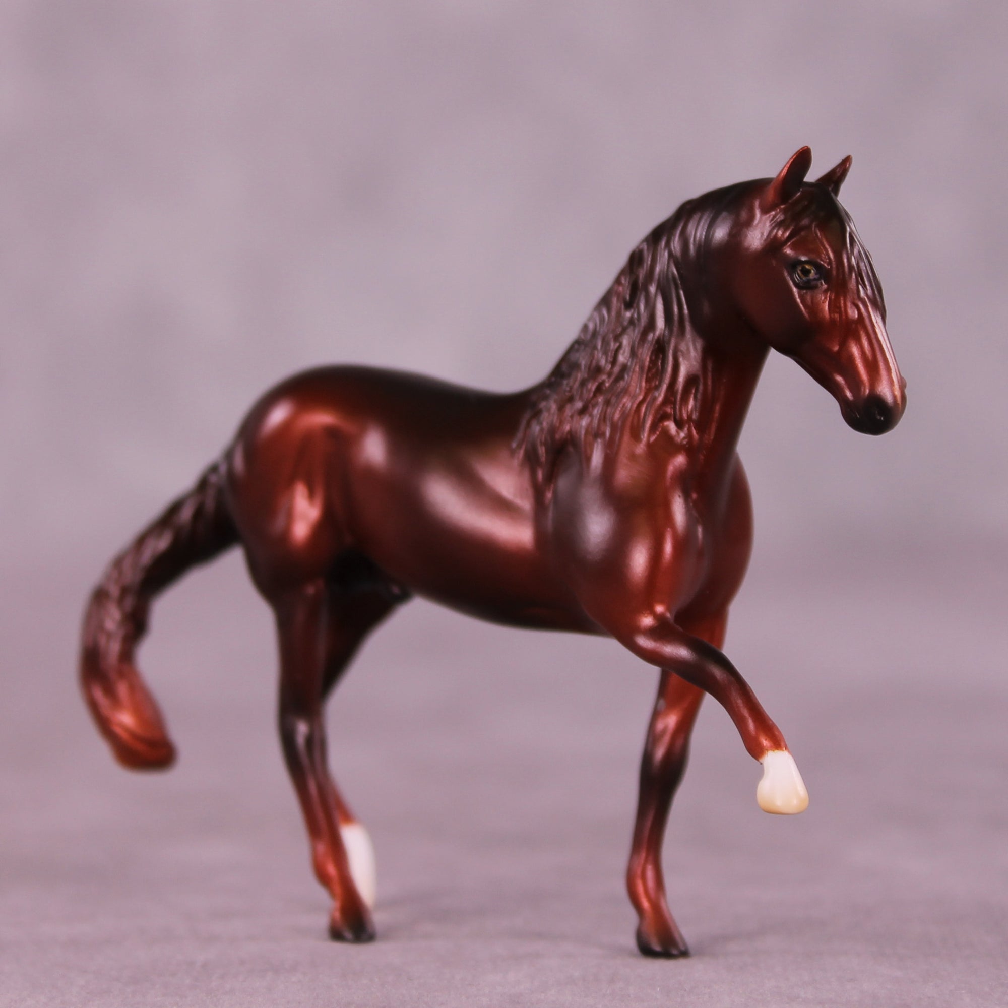 Preview: Spiced Apple Samba LE-5 EFCM Chip Andalusian by Ashley Palmer LHS25