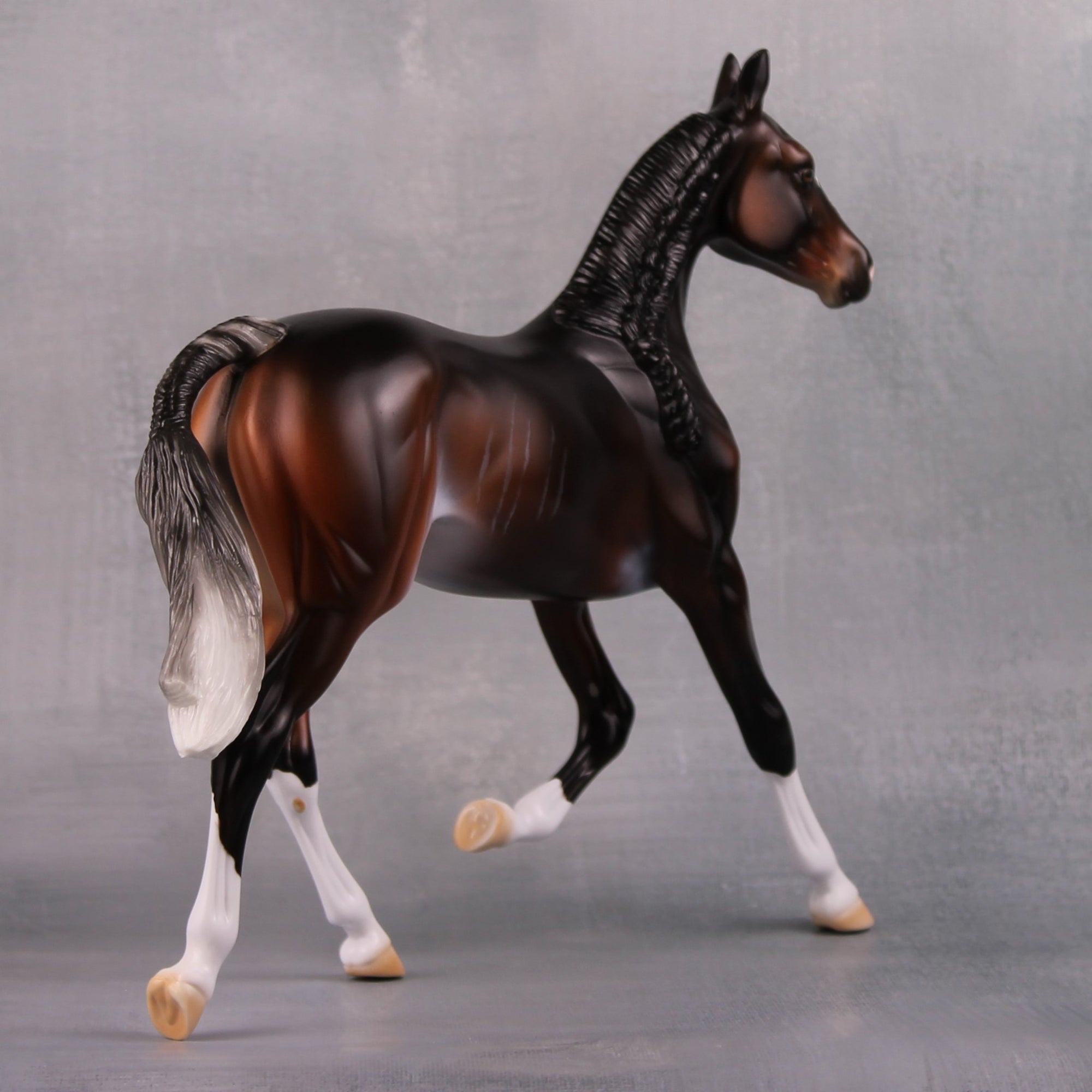 Pumicin LE 10 Extreme Custom Bay Rabicano Arab Yearling By Ashley Palmer MM24 Run