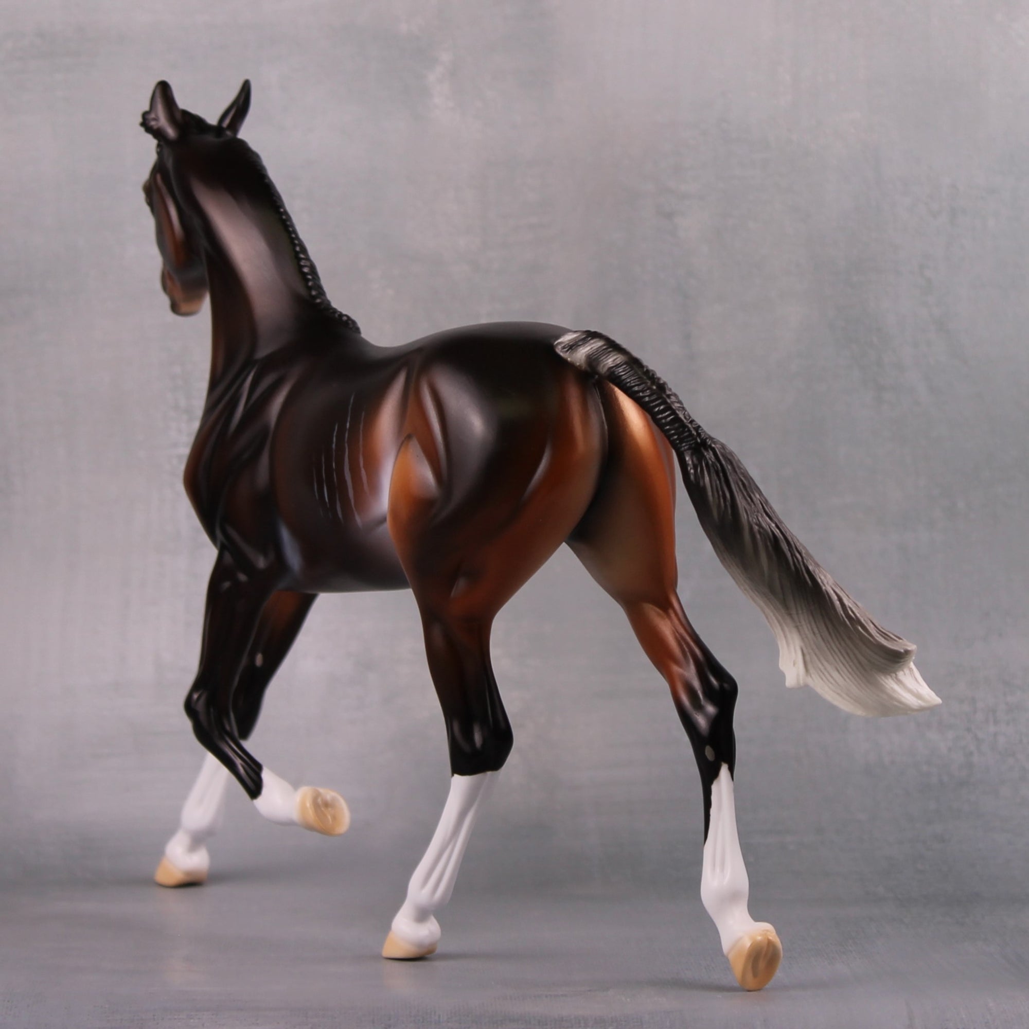 Pumicin LE 10 Extreme Custom Bay Rabicano Arab Yearling By Ashley Palmer MM24 Run