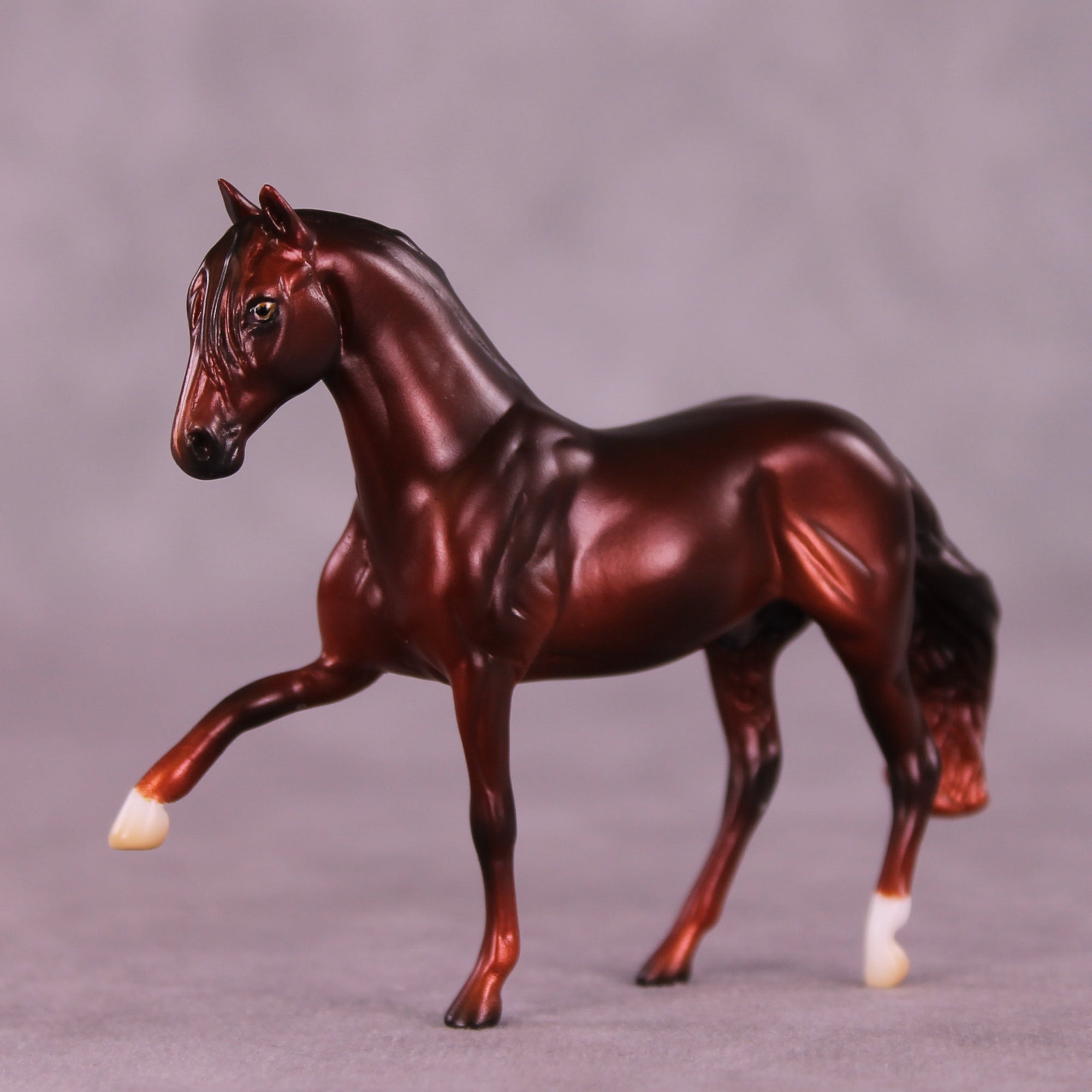 Preview: Spiced Apple Samba LE-5 EFCM Chip Andalusian by Ashley Palmer LHS25