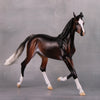 PREVIEW LISTING ONLY Pumicin LE 10 Extreme Custom Bay Rabicano Arab Yearling By Ashley Palmer MM24 Run