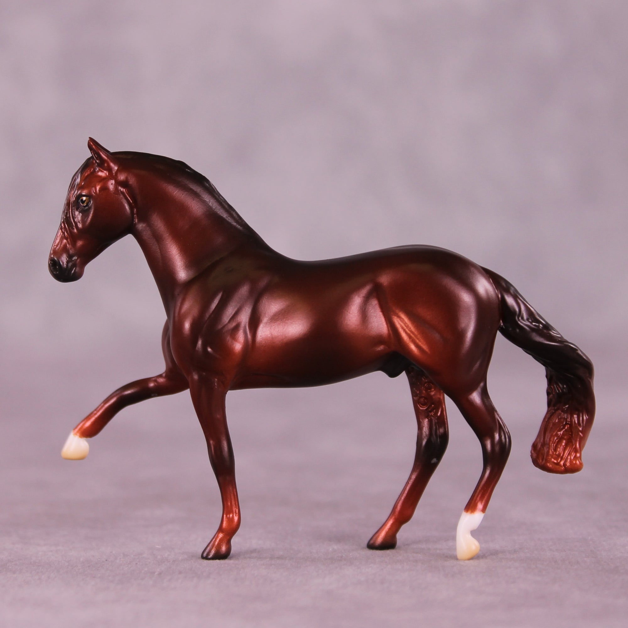 Preview: Spiced Apple Samba LE-5 EFCM Chip Andalusian by Ashley Palmer LHS25