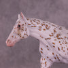 Colorado Sunrise OOAK FCM Remington by Dawn Quick Best Offer 08/05/25