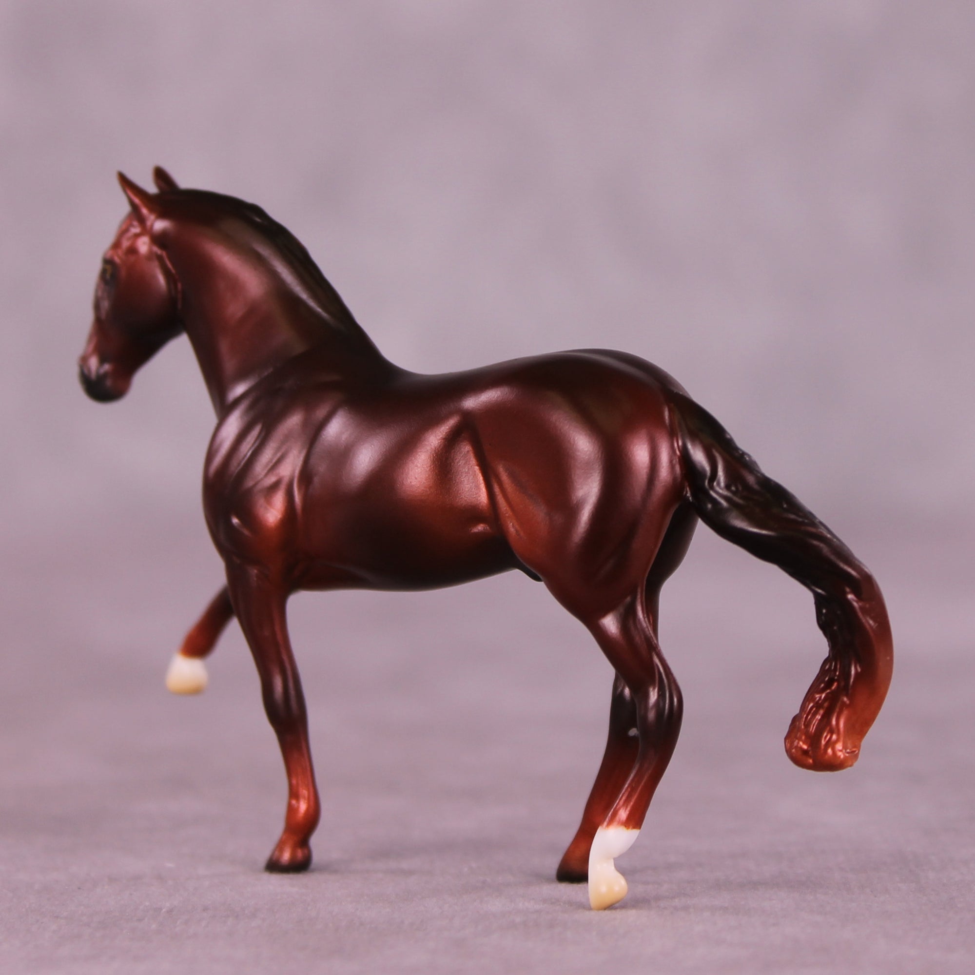 Preview: Spiced Apple Samba LE-5 EFCM Chip Andalusian by Ashley Palmer LHS25