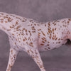 Colorado Sunrise OOAK FCM Remington by Dawn Quick Best Offer 08/05/25
