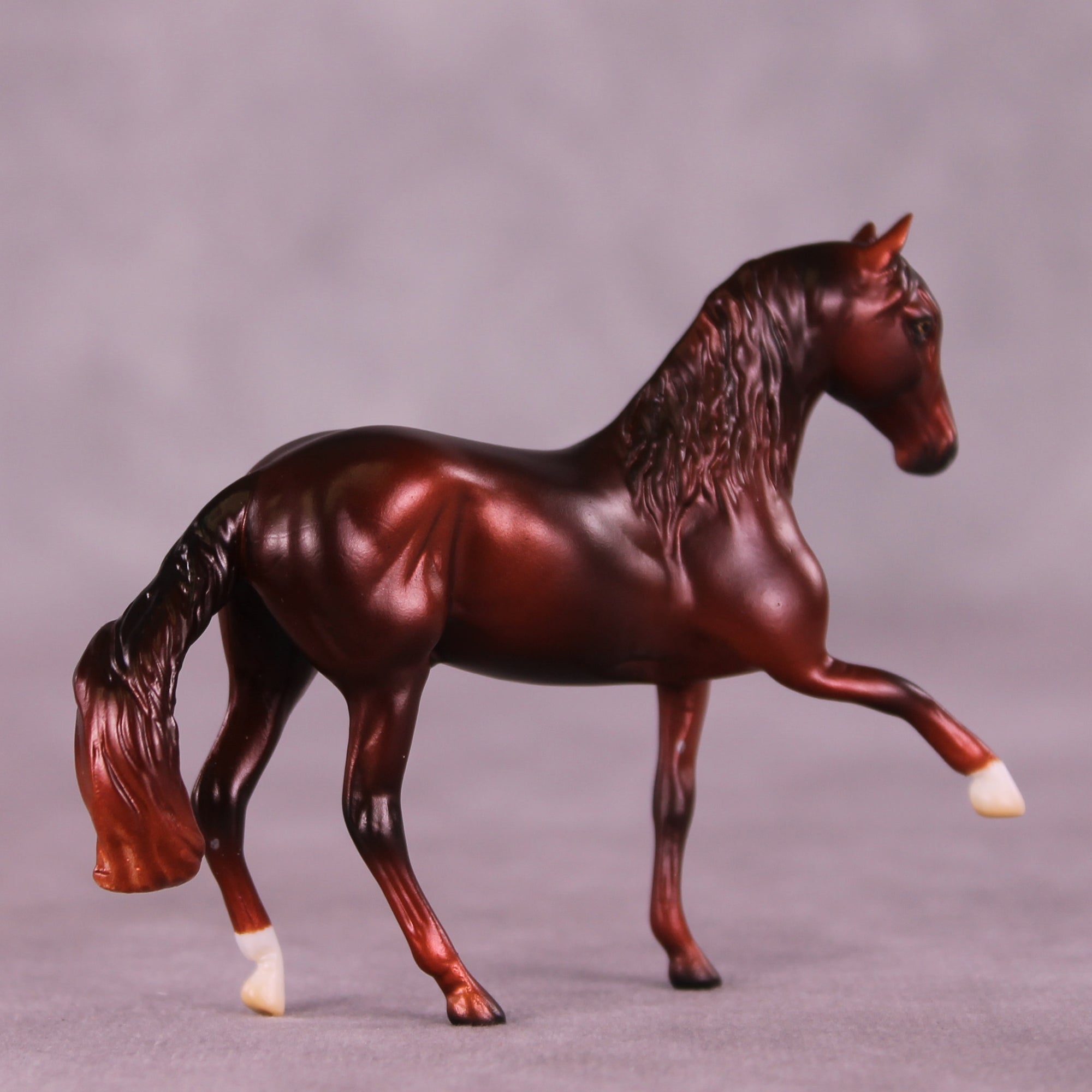 Preview: Spiced Apple Samba LE-5 EFCM Chip Andalusian by Ashley Palmer LHS25