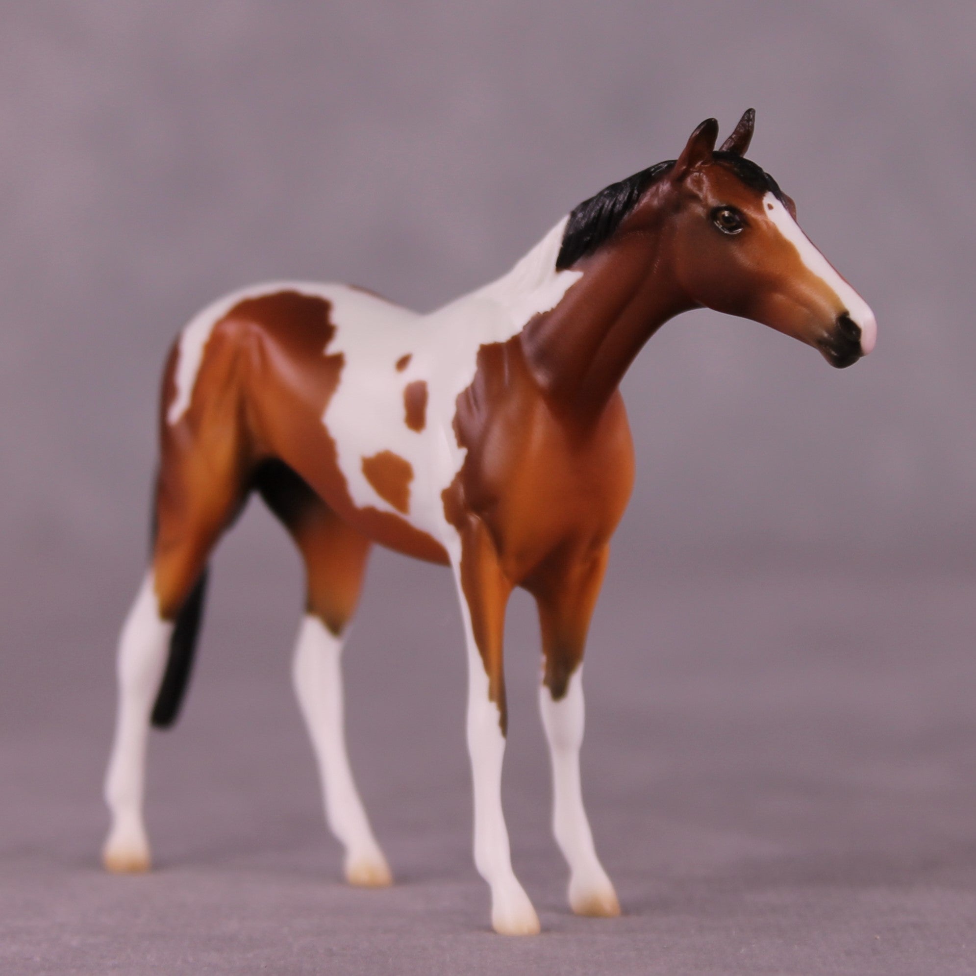 Adair OOAK Thoroughbred Chip by Ellen Robbins EQ25