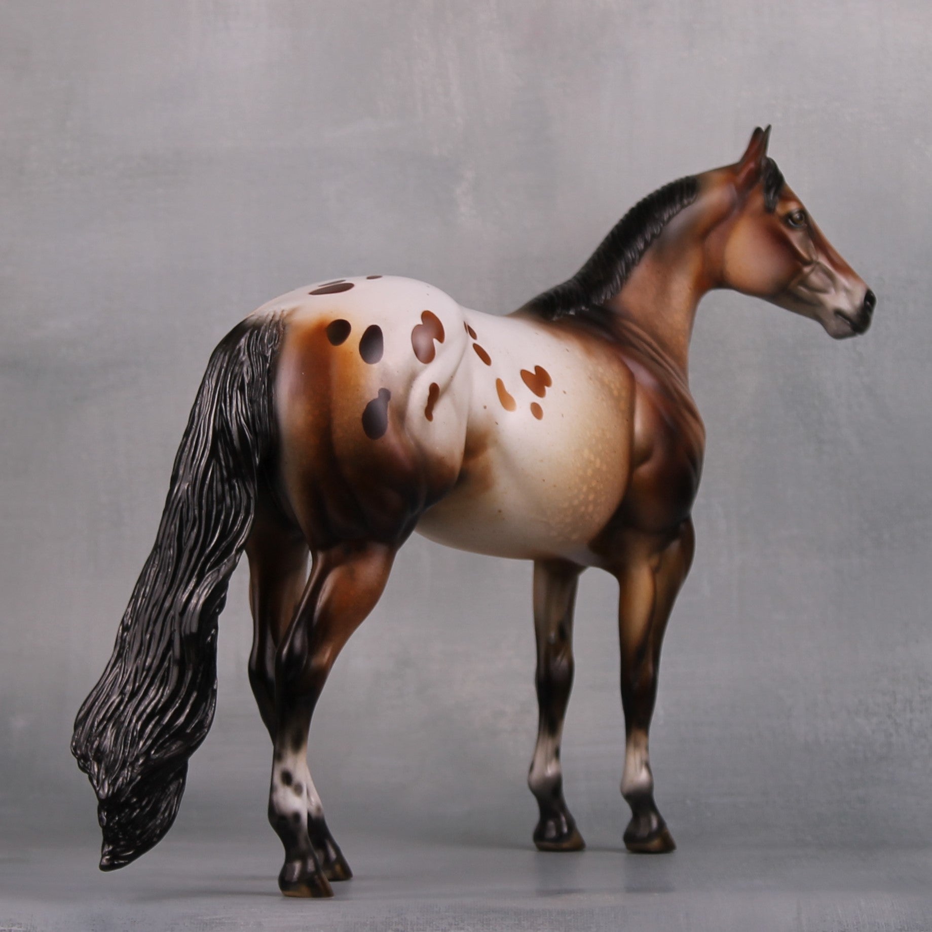 Vigilant (Realistic) LE 15 Bay Appaloosa Ideal Stock Horse By Julie Keim MM24 Run