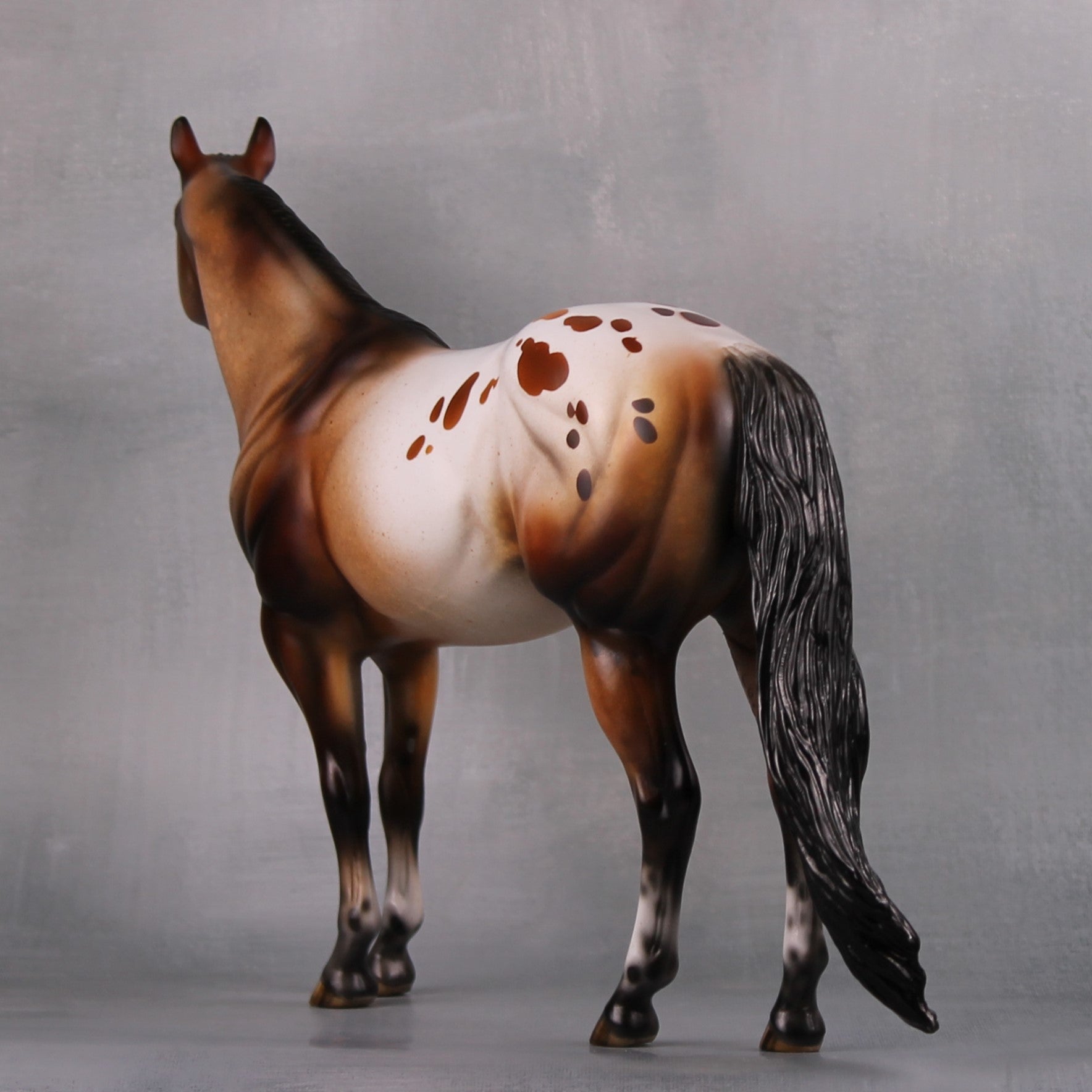 Vigilant (Realistic) LE 15 Bay Appaloosa Ideal Stock Horse By Julie Keim MM24 Run