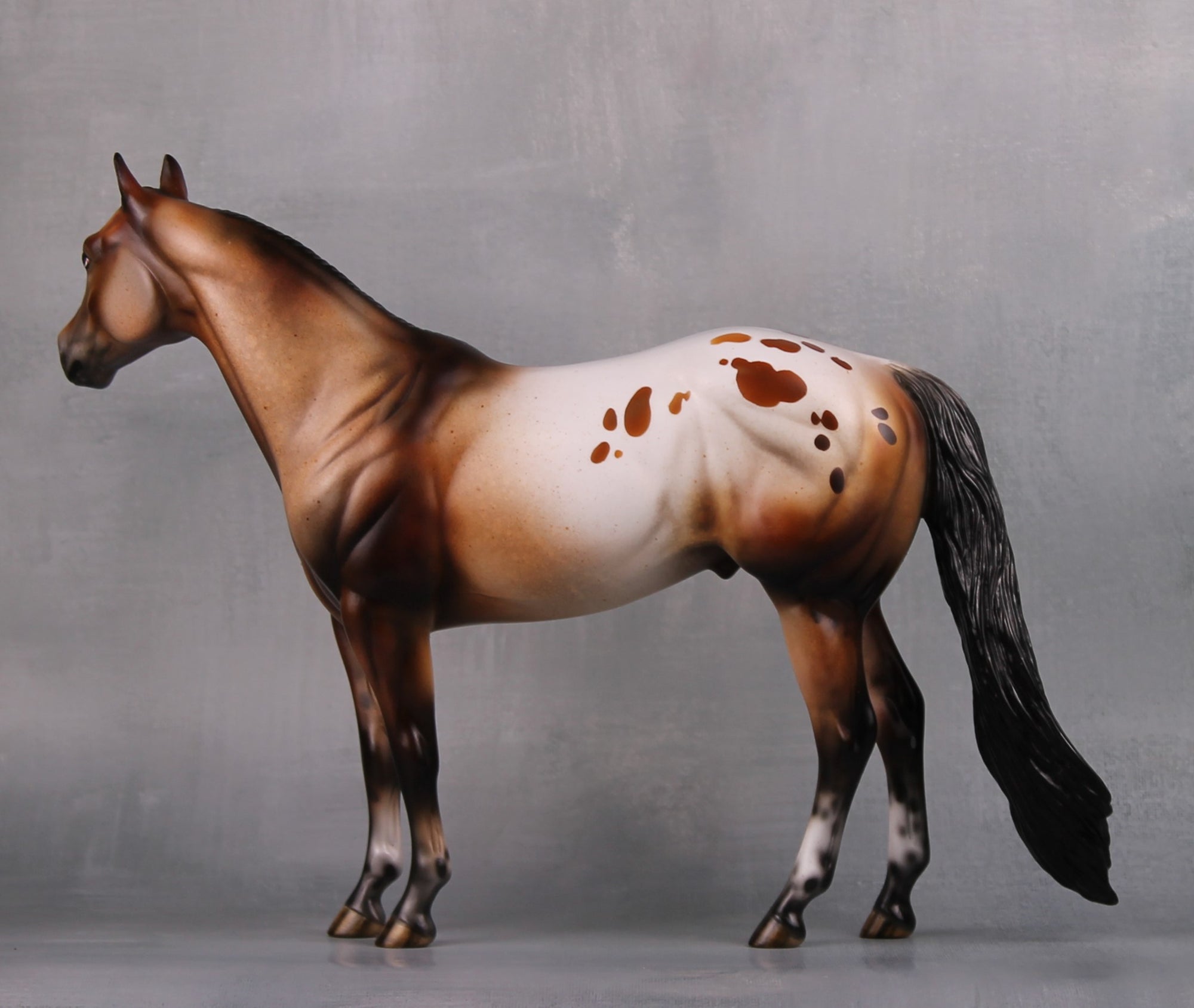 Vigilant (Realistic) LE 15 Bay Appaloosa Ideal Stock Horse By Julie Keim MM24 Run