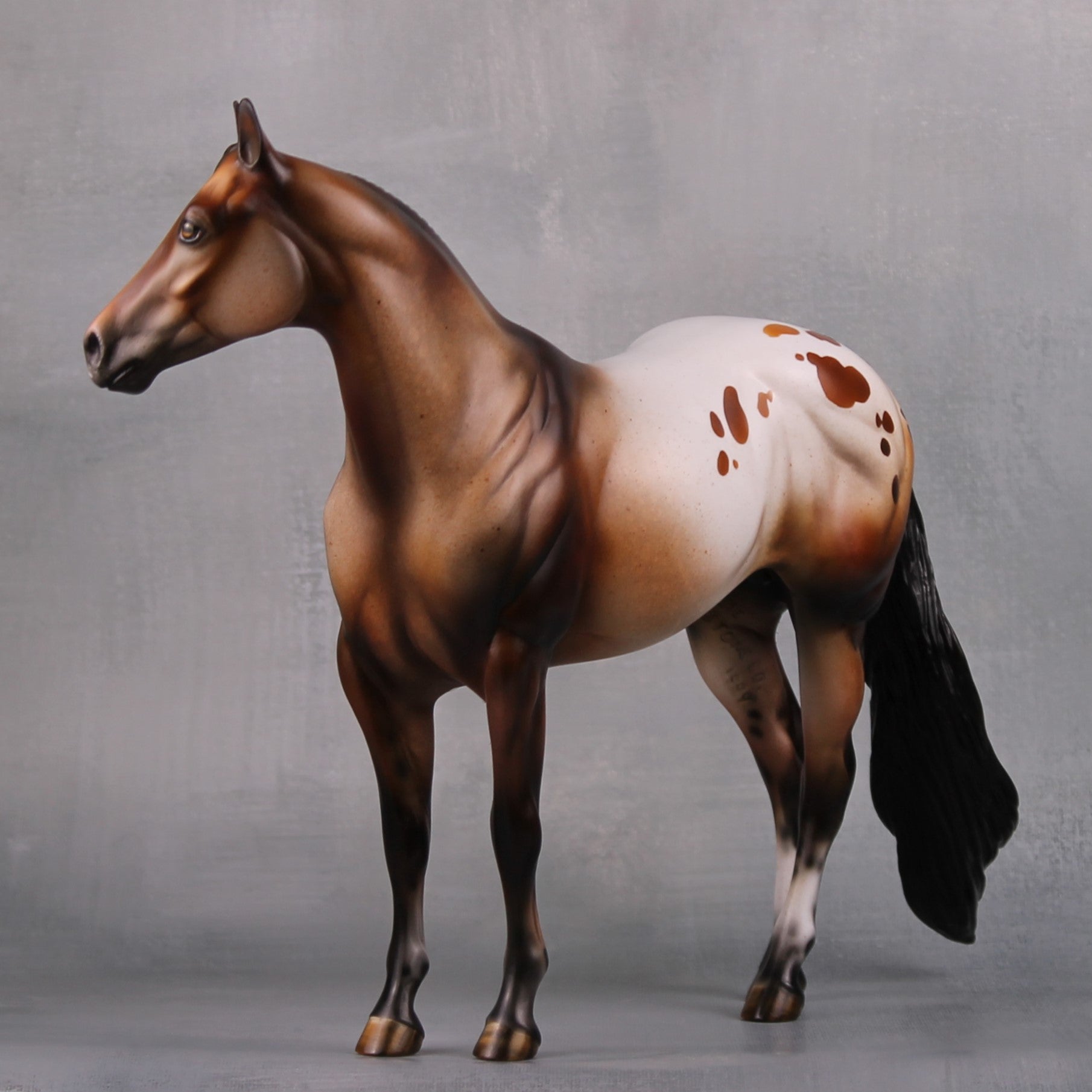 Vigilant (Realistic) LE 15 Bay Appaloosa Ideal Stock Horse By Julie Keim MM24 Run