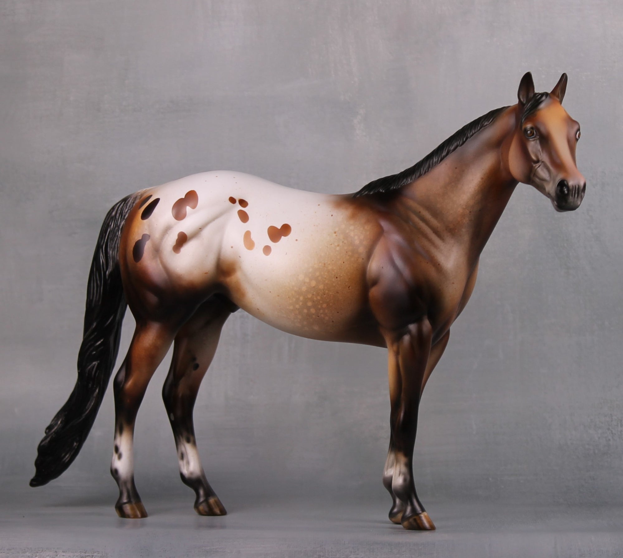 Vigilant (Realistic) LE 15 Bay Appaloosa Ideal Stock Horse By Julie Keim MM24 Run