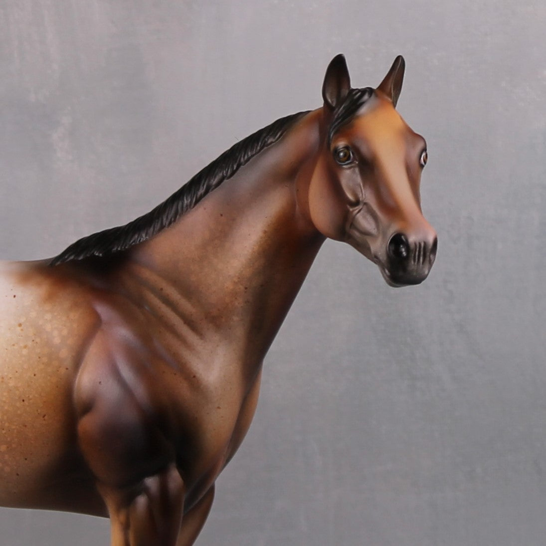 Vigilant (Realistic) LE 15 Bay Appaloosa Ideal Stock Horse By Julie Keim MM24 Run