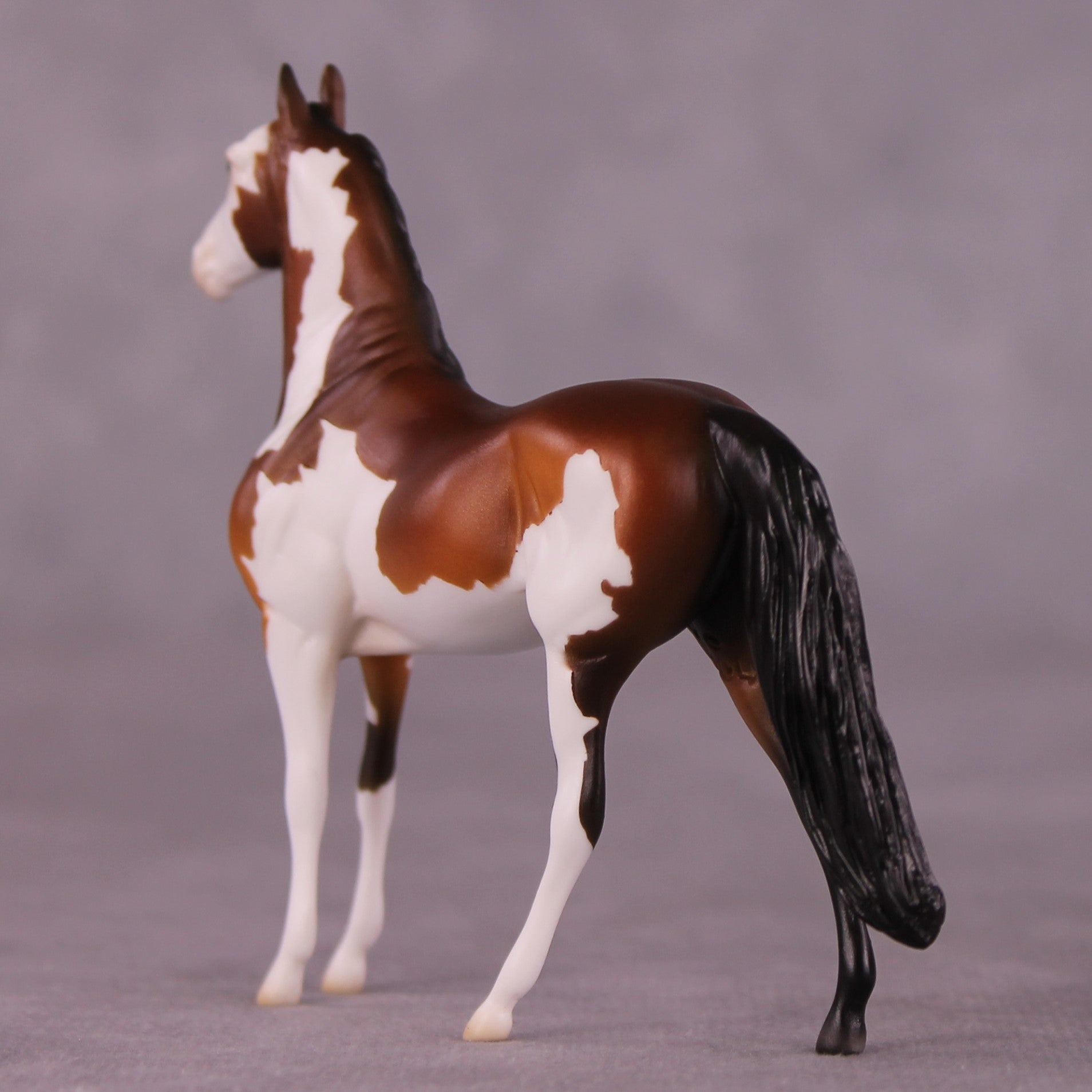 "Moldacot" OOAK Morgan Chip by Ellen Robbins EQ25